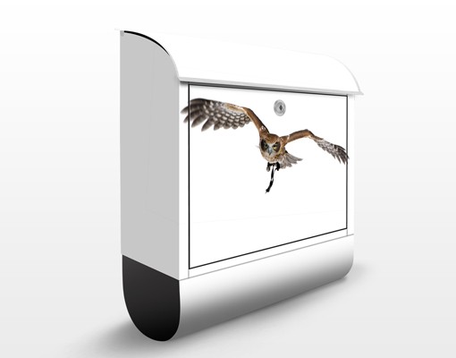 Briefkasten No.377 Nocturnal Hunter