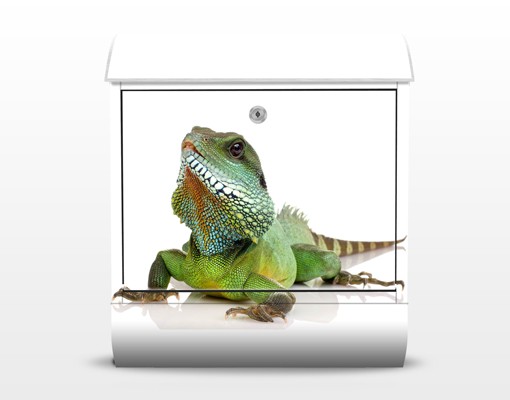 Briefkasten No.140 Grüner Leguan II