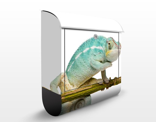 Briefkasten Blaues Chamäleon