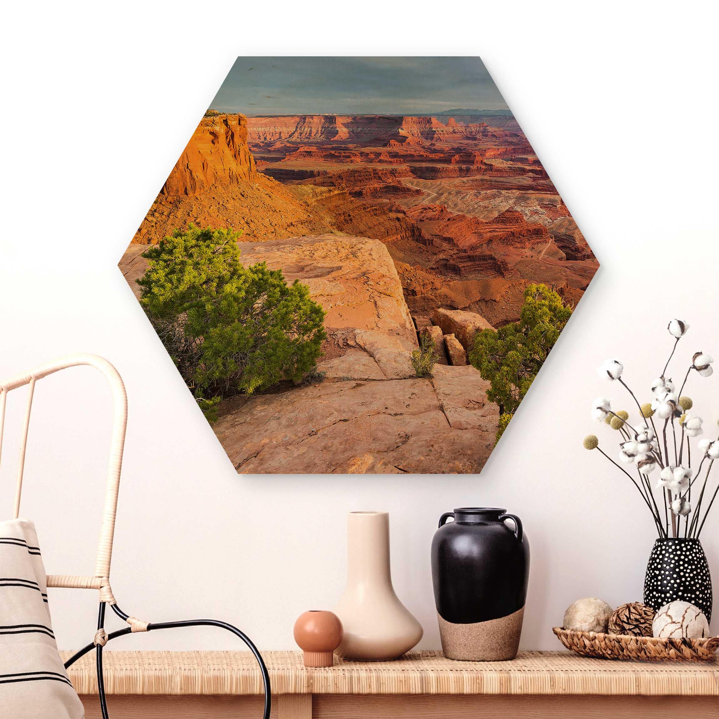 Hexagon-Holzbild Dead Horse Point Canyonlands National Park USA