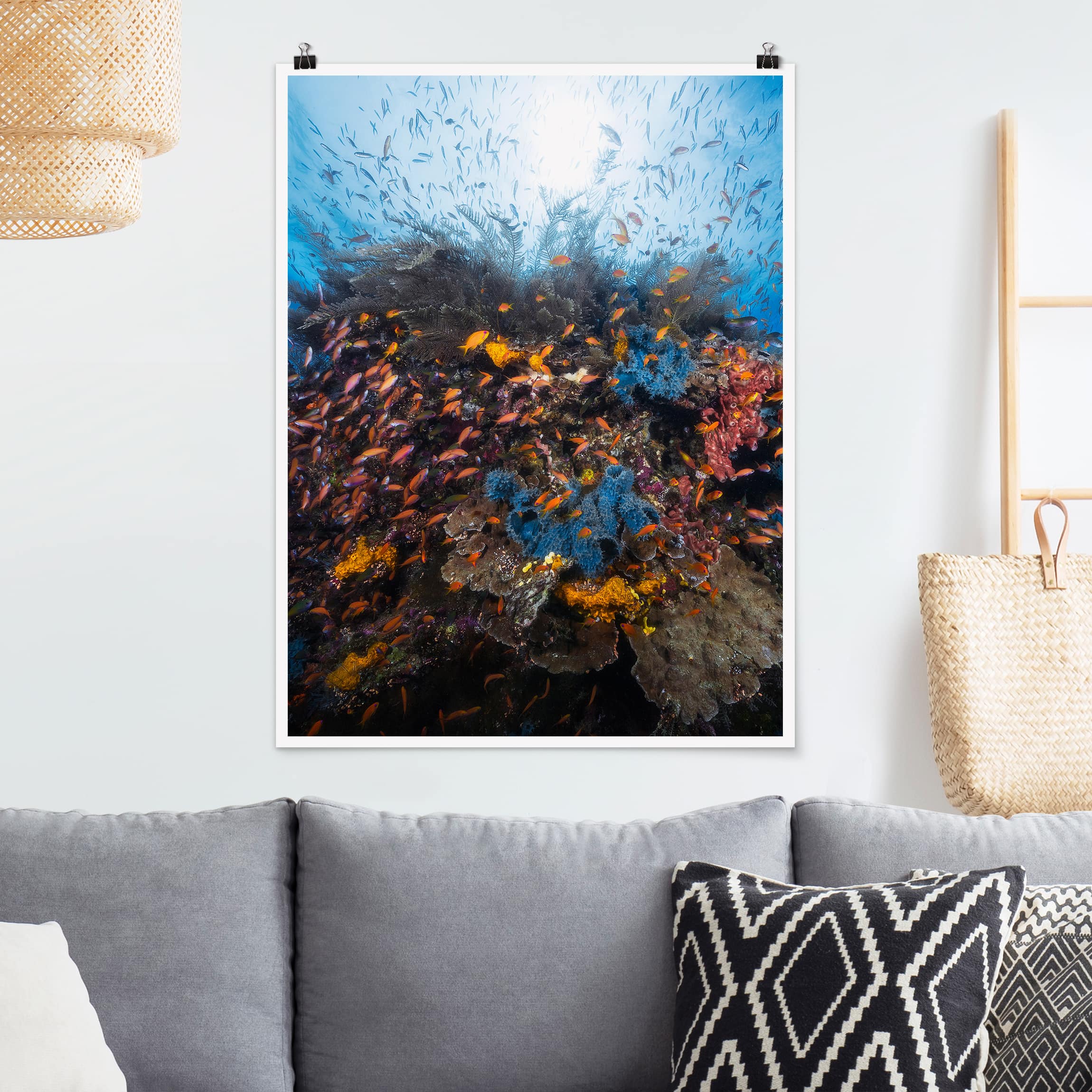 Poster Tiere Lagune mit Fischen