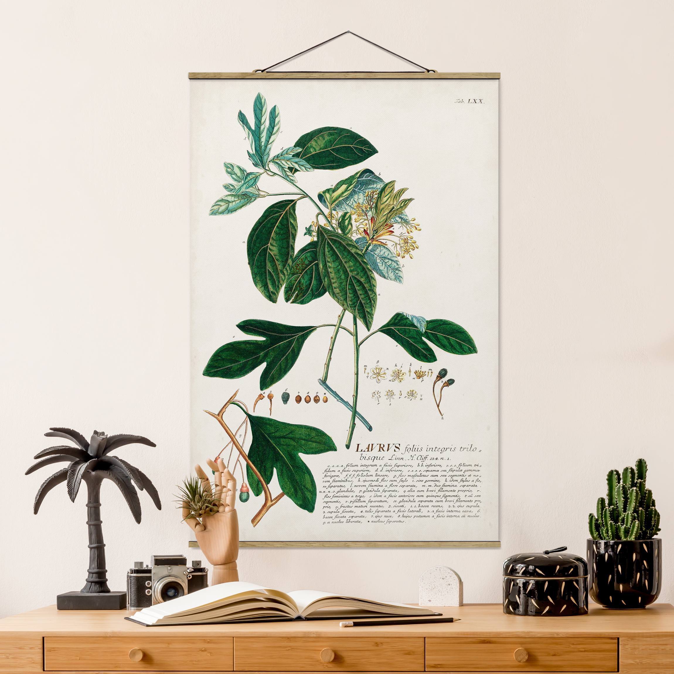 Stoffbild mit Posterleisten Vintage Botanik Illustration Lorbeer
