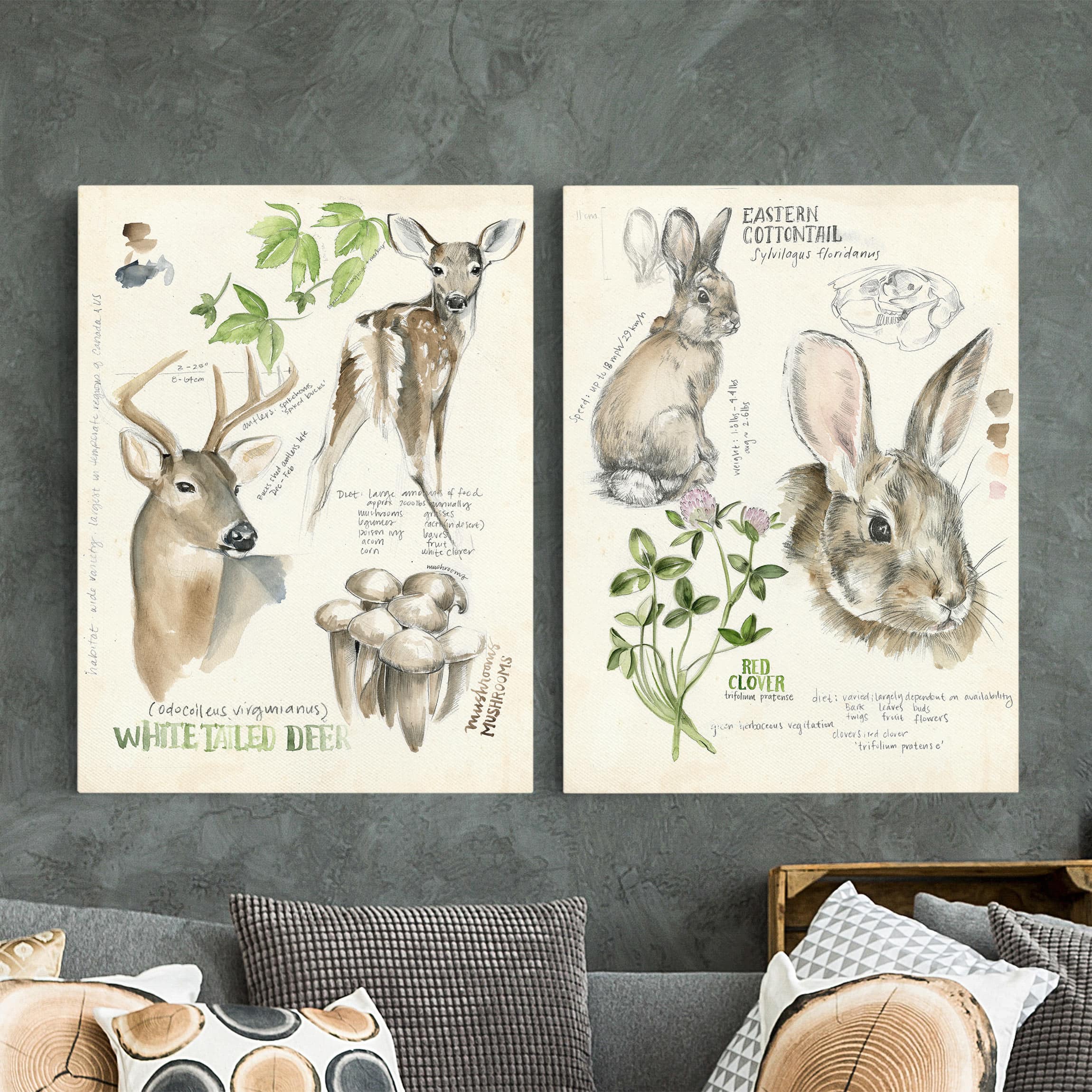 2-teiliges Leinwandbild Tiere Wildnis Journal - Hirsch und Kaninchen Set II