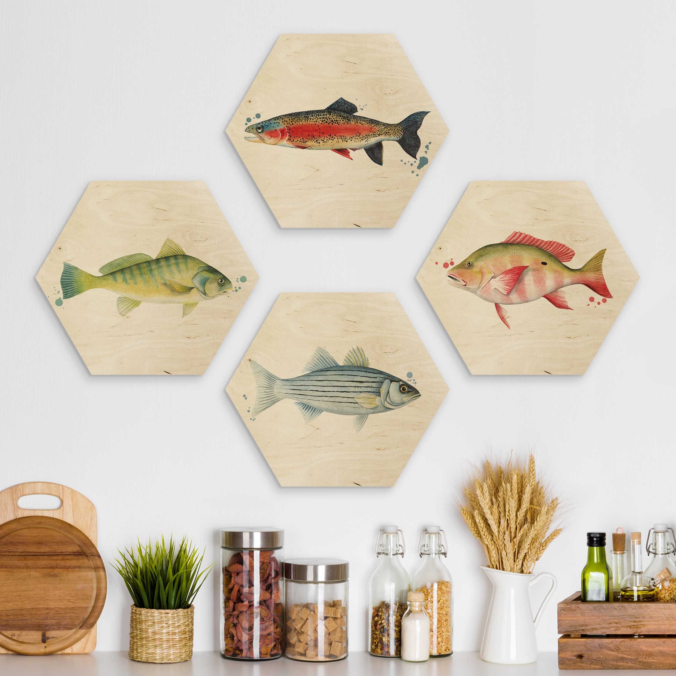 4-teiliges Hexagon-Holzbild Farbfang - Fische Set I