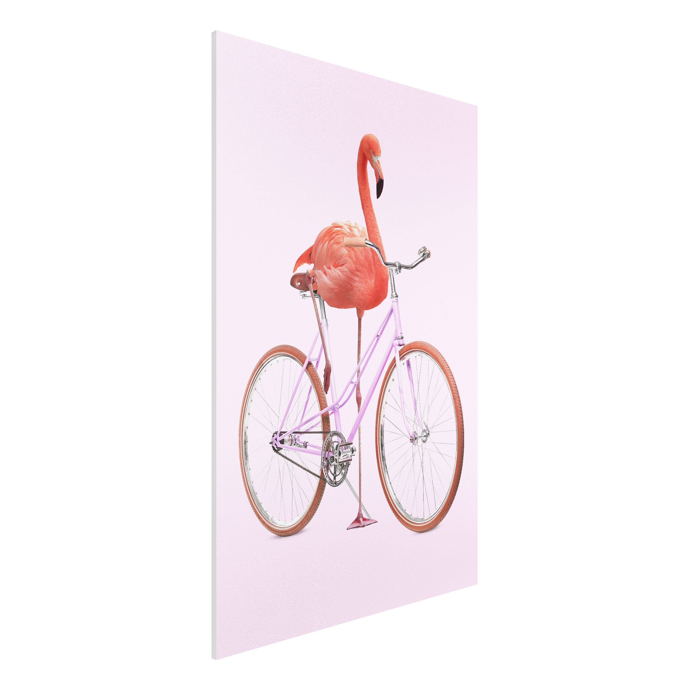 Forexbild - Hochformat Flamingo mit Fahrrad