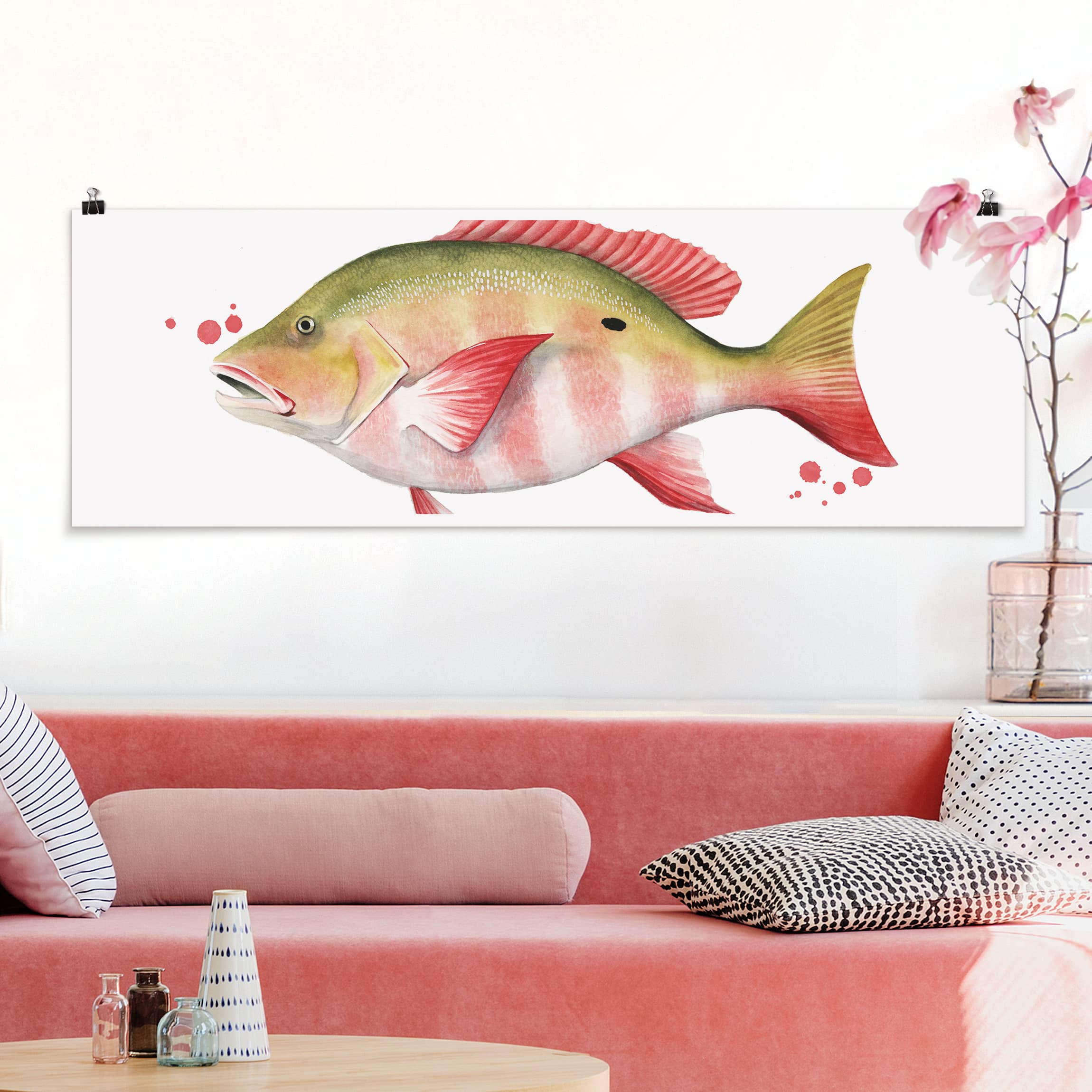 Panorama Poster Küche Farbfang - Nördlicher Schnapper