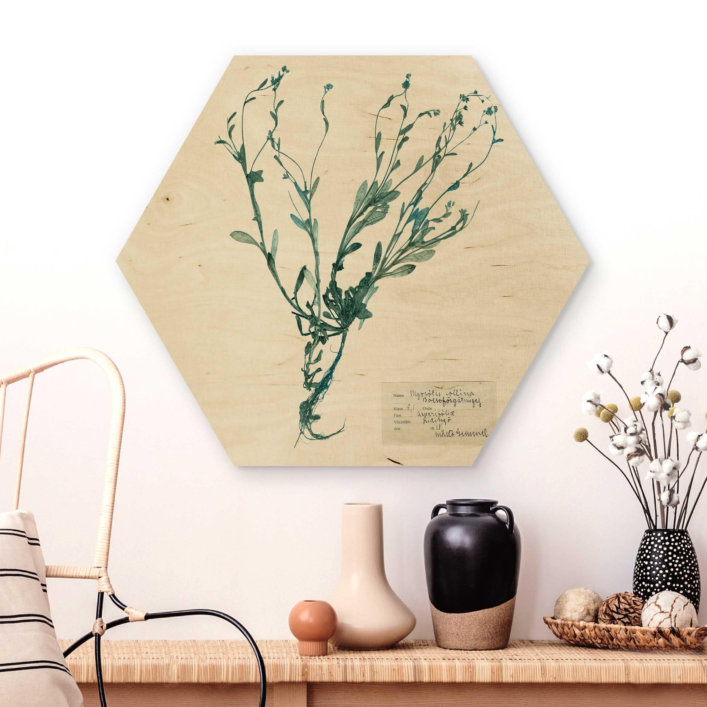 Hexagon-Holzbild Gepresste Blumen - Vergissmeinnicht