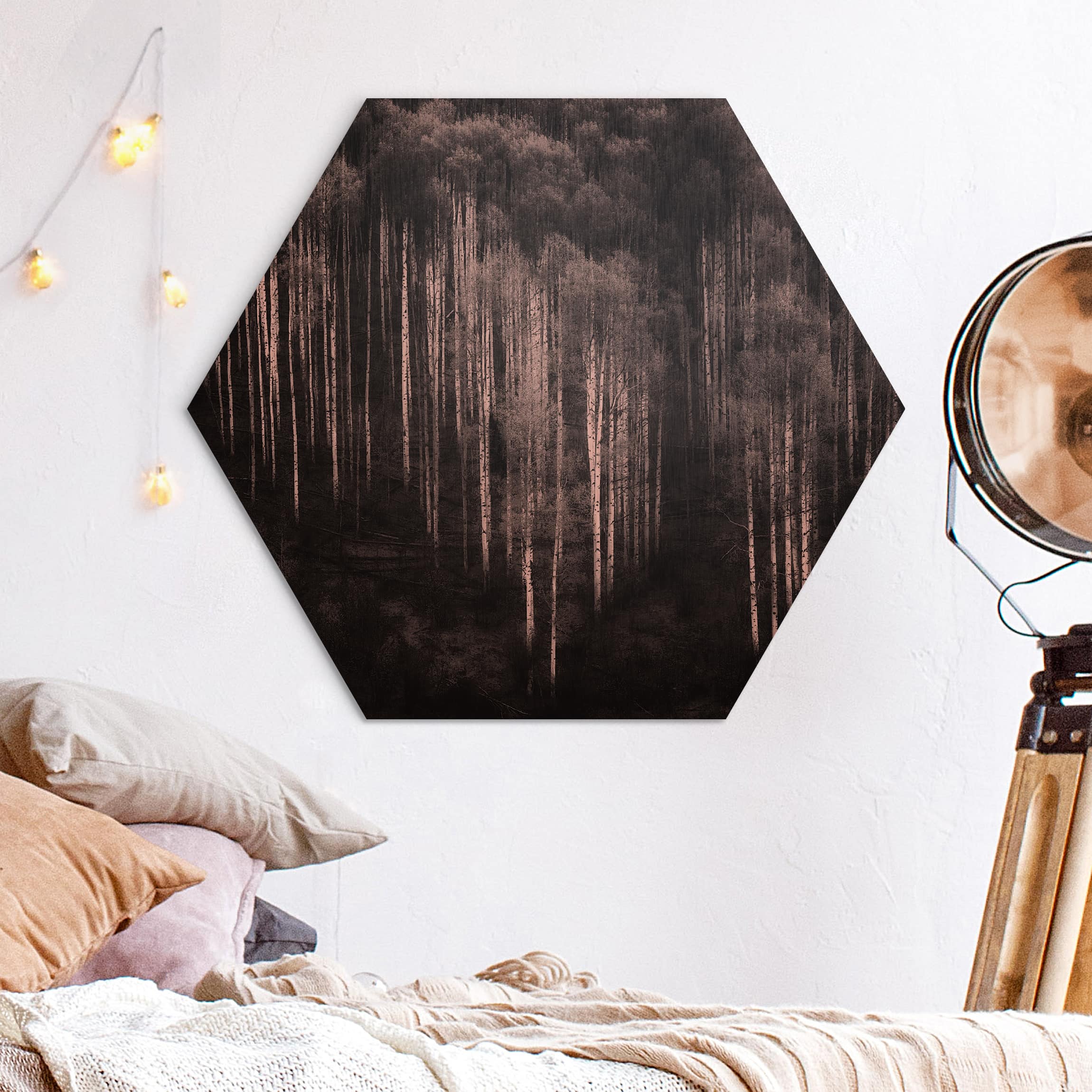 Hexagon-Alu-Dibond Bild Birkenwald in Aspen