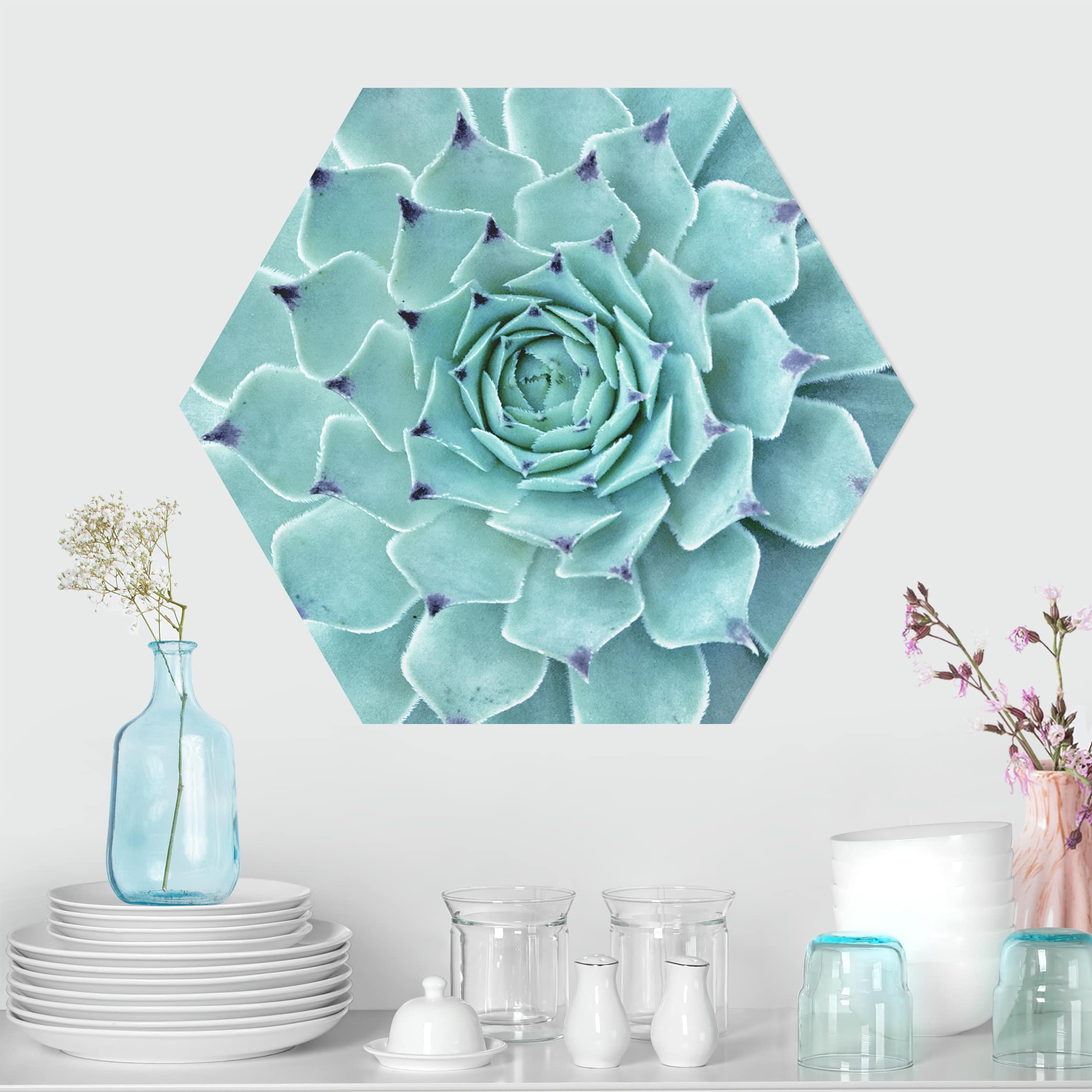 Hexagon-Alu-Dibond Bild Kaktus Agave