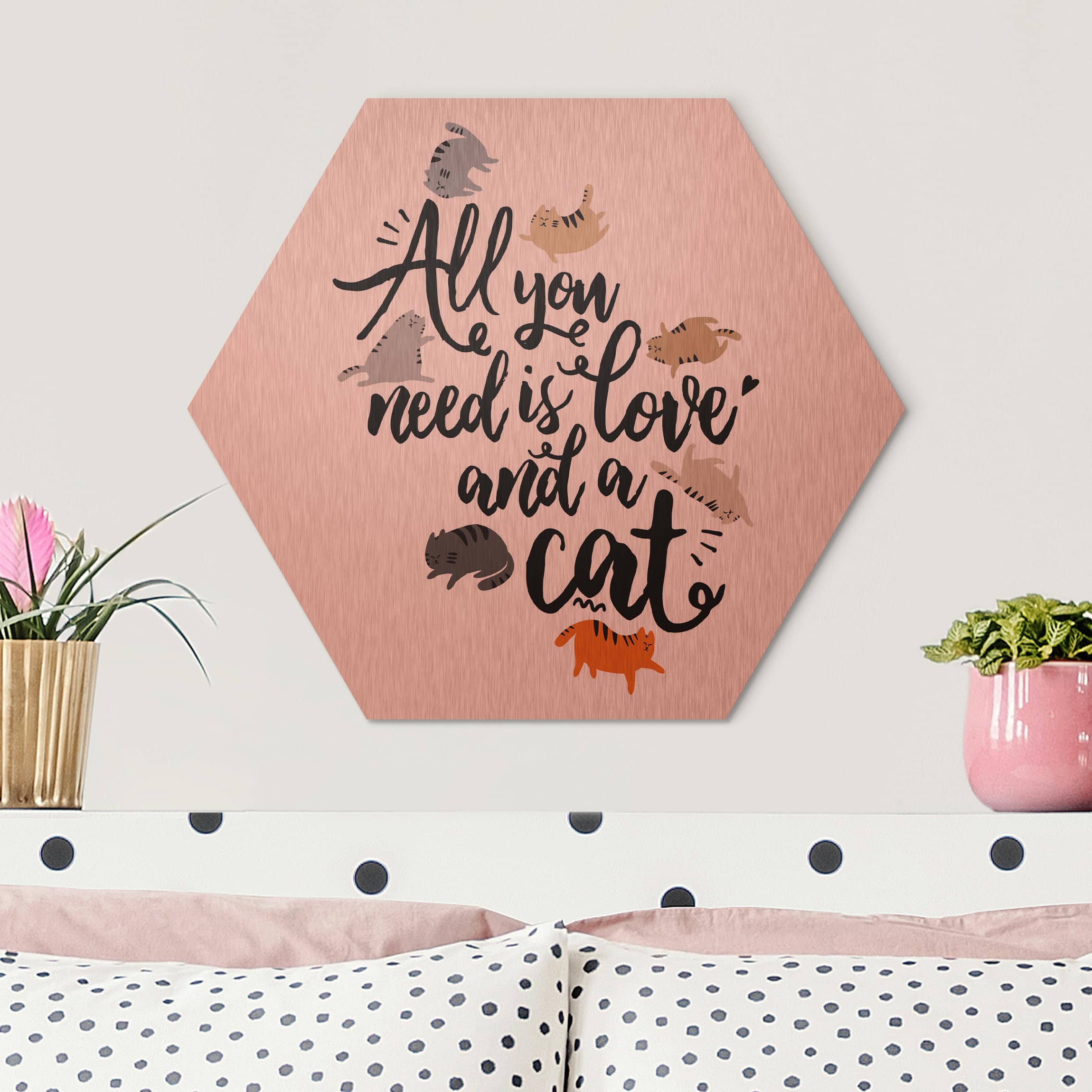 Hexagon-Alu-Dibond Bild All you need is love and a cat