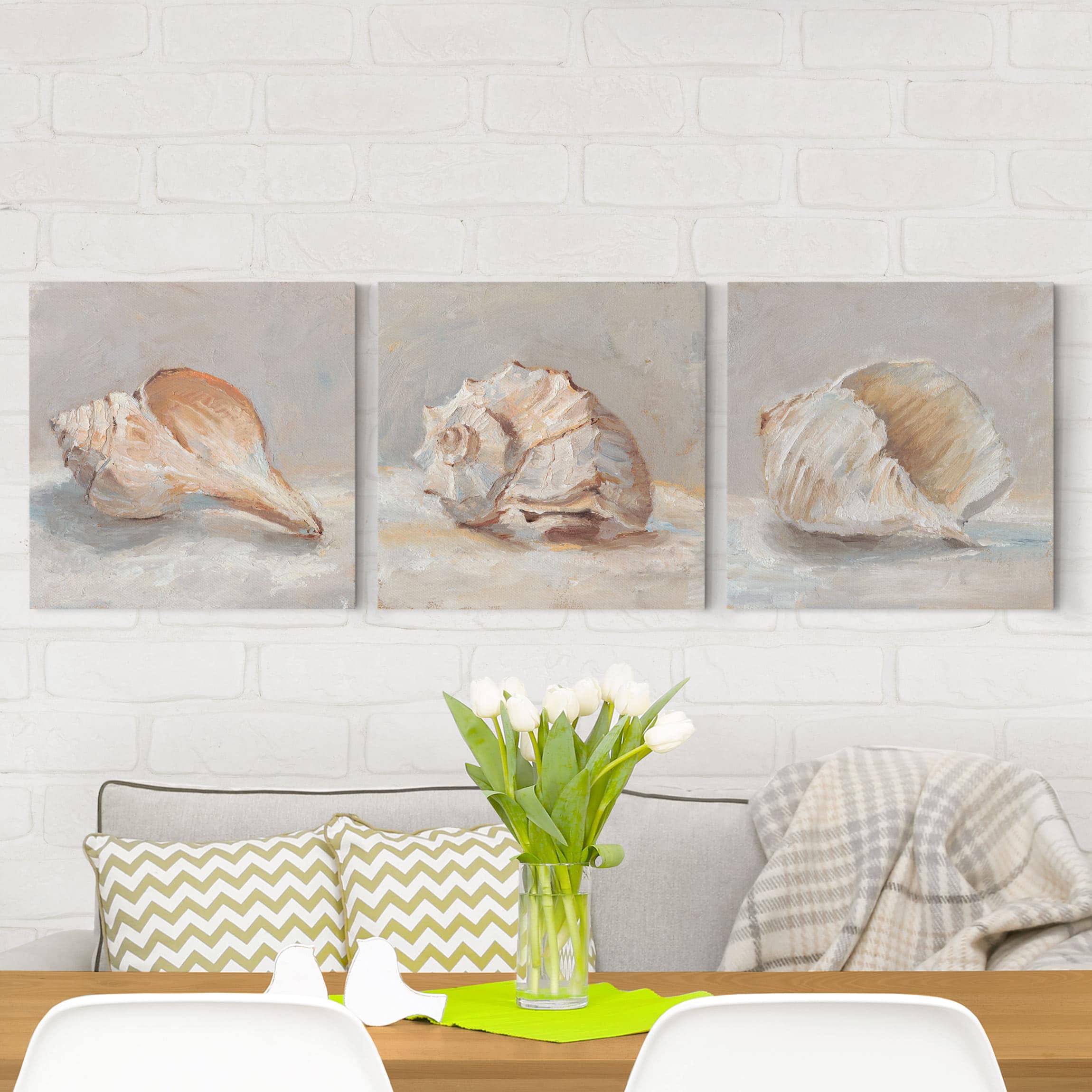 3-teiliges Leinwandbild Tiere Muschel-Studie Set I