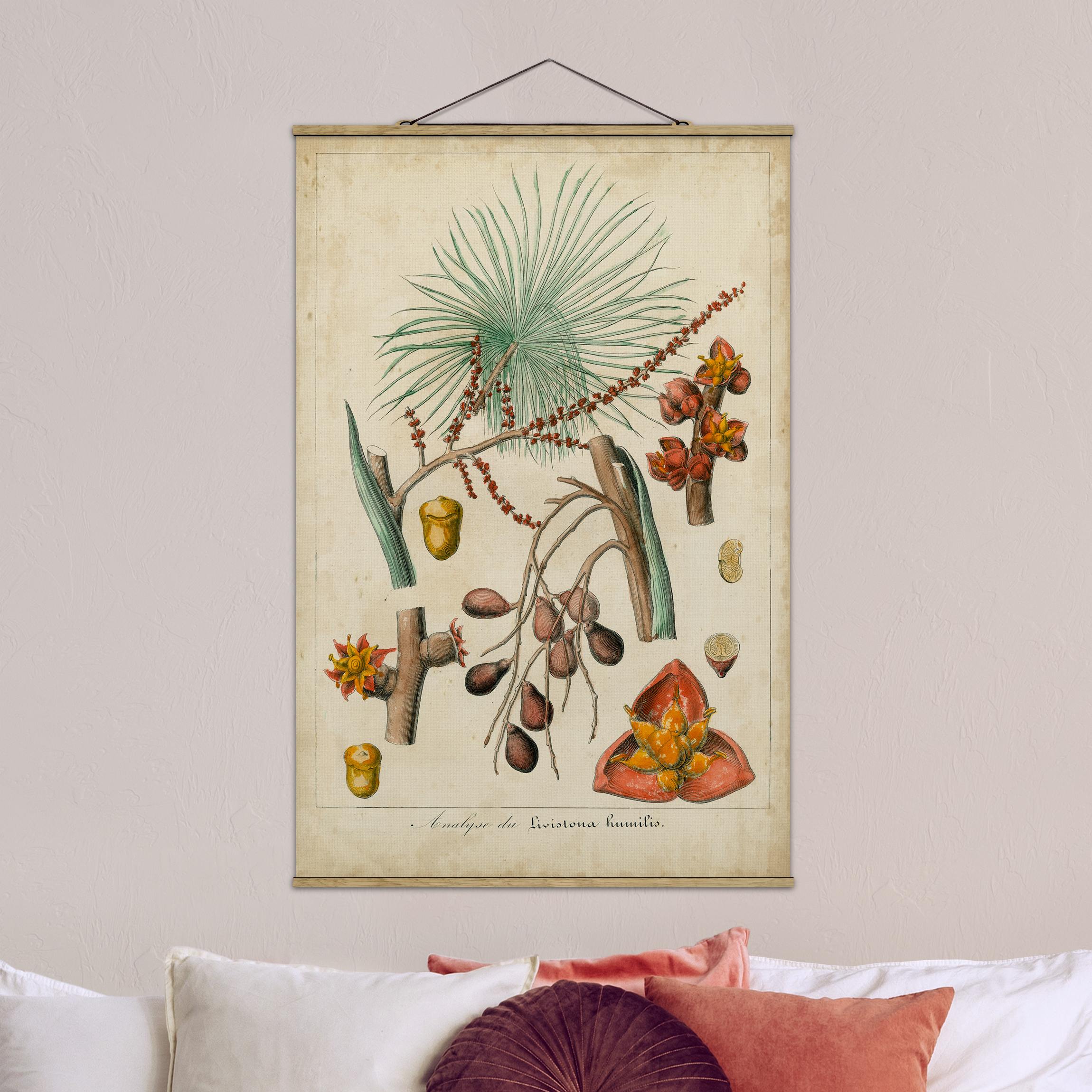 Stoffbild mit Posterleisten Vintage Lehrtafel Exotische Palmen III