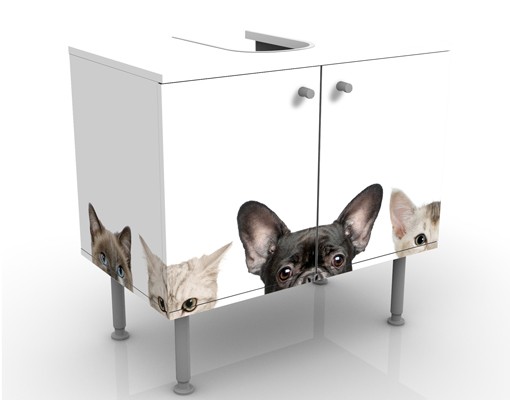 Waschbeckenunterschrank Katzen mit Hundeblick