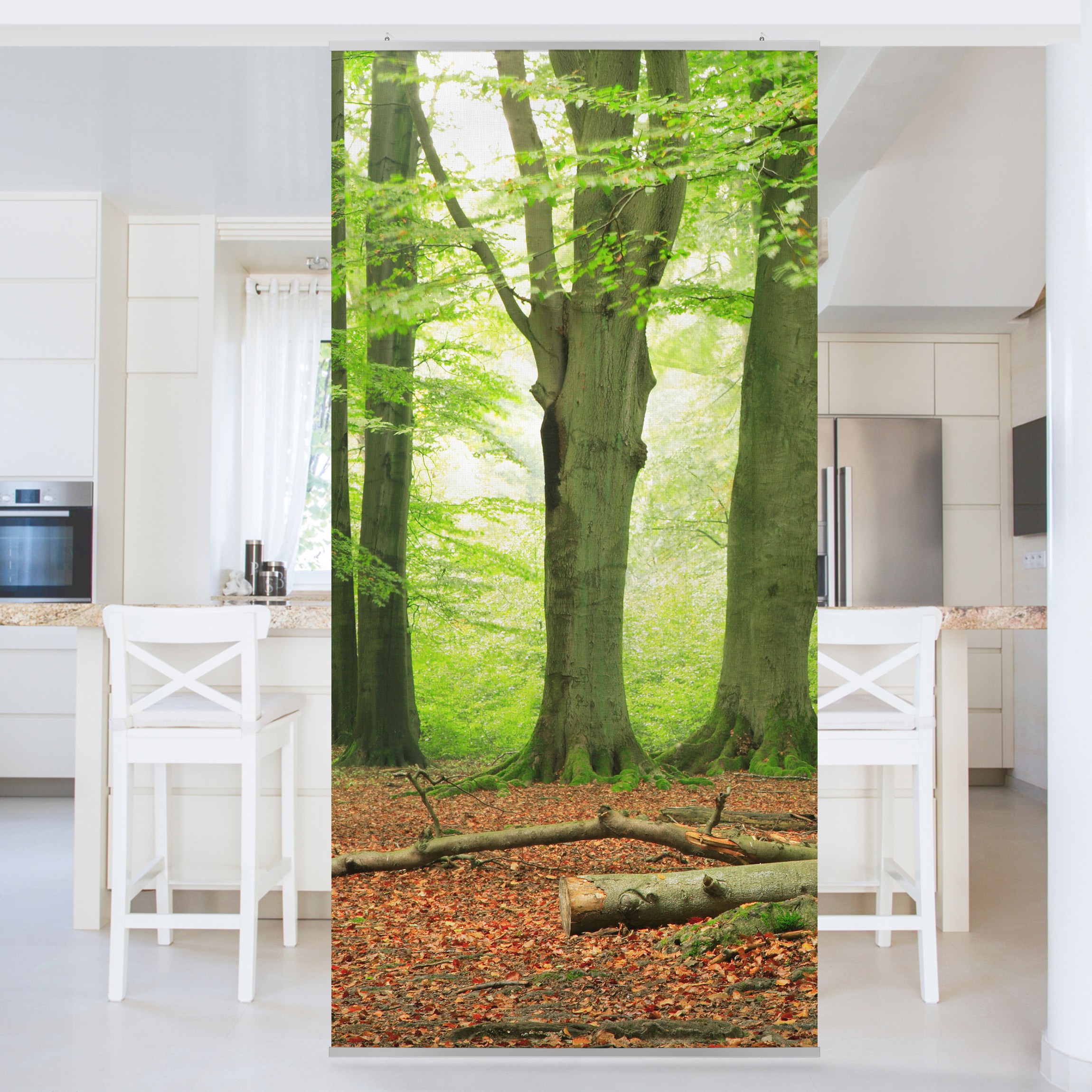 Raumteiler Mighty Beech Trees