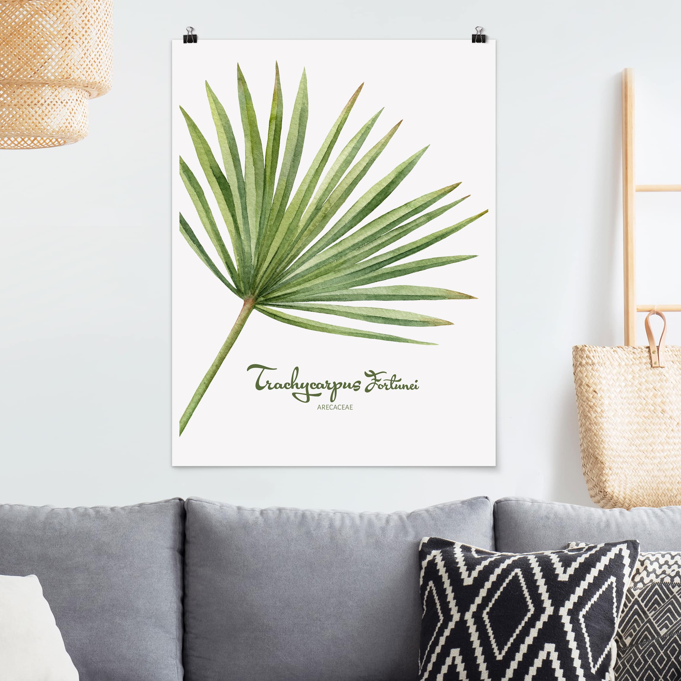 Poster - Hochformat Aquarell Botanik Trachycarpus fortunei
