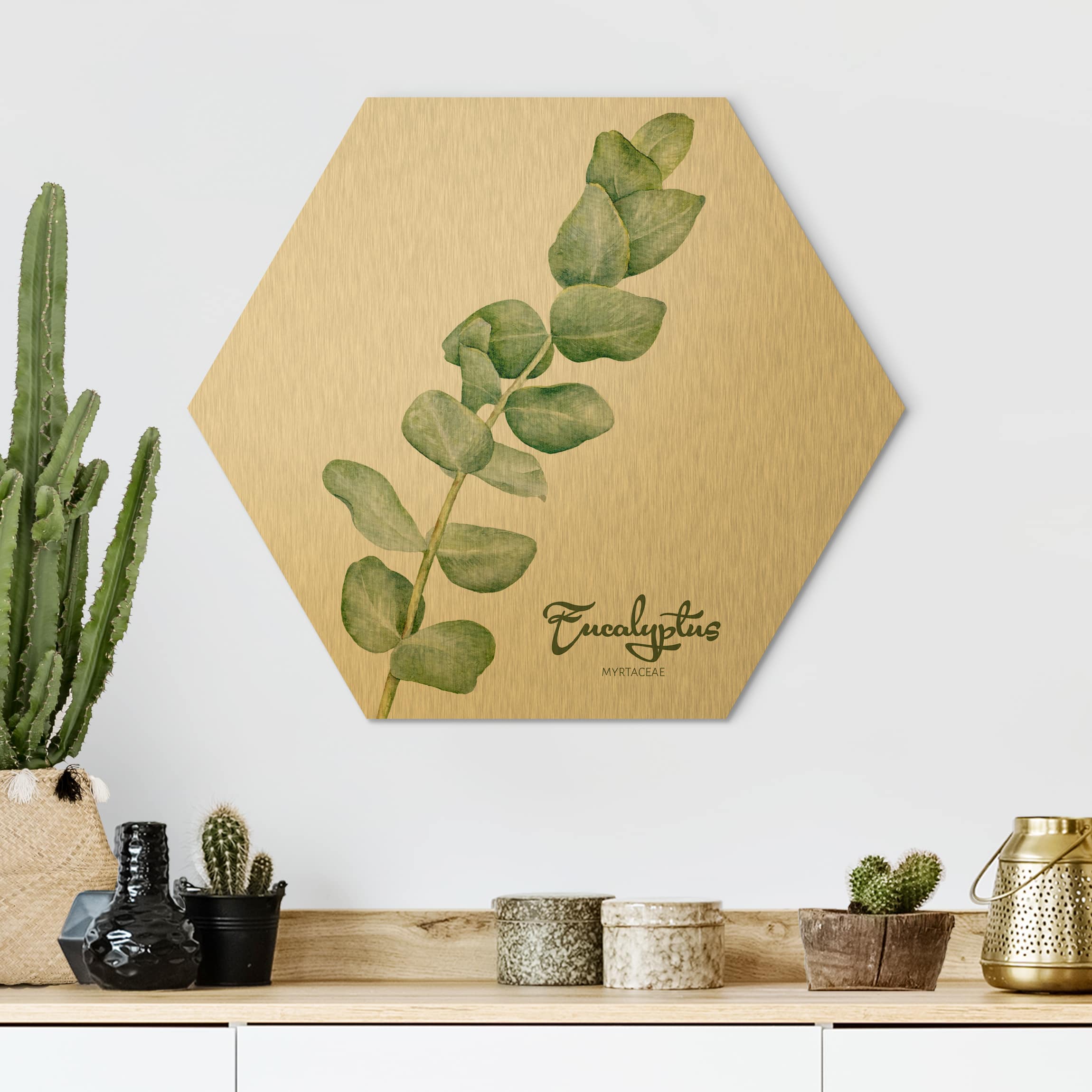 Hexagon-Alu-Dibond Bild Aquarell Botanik Eukalyptus
