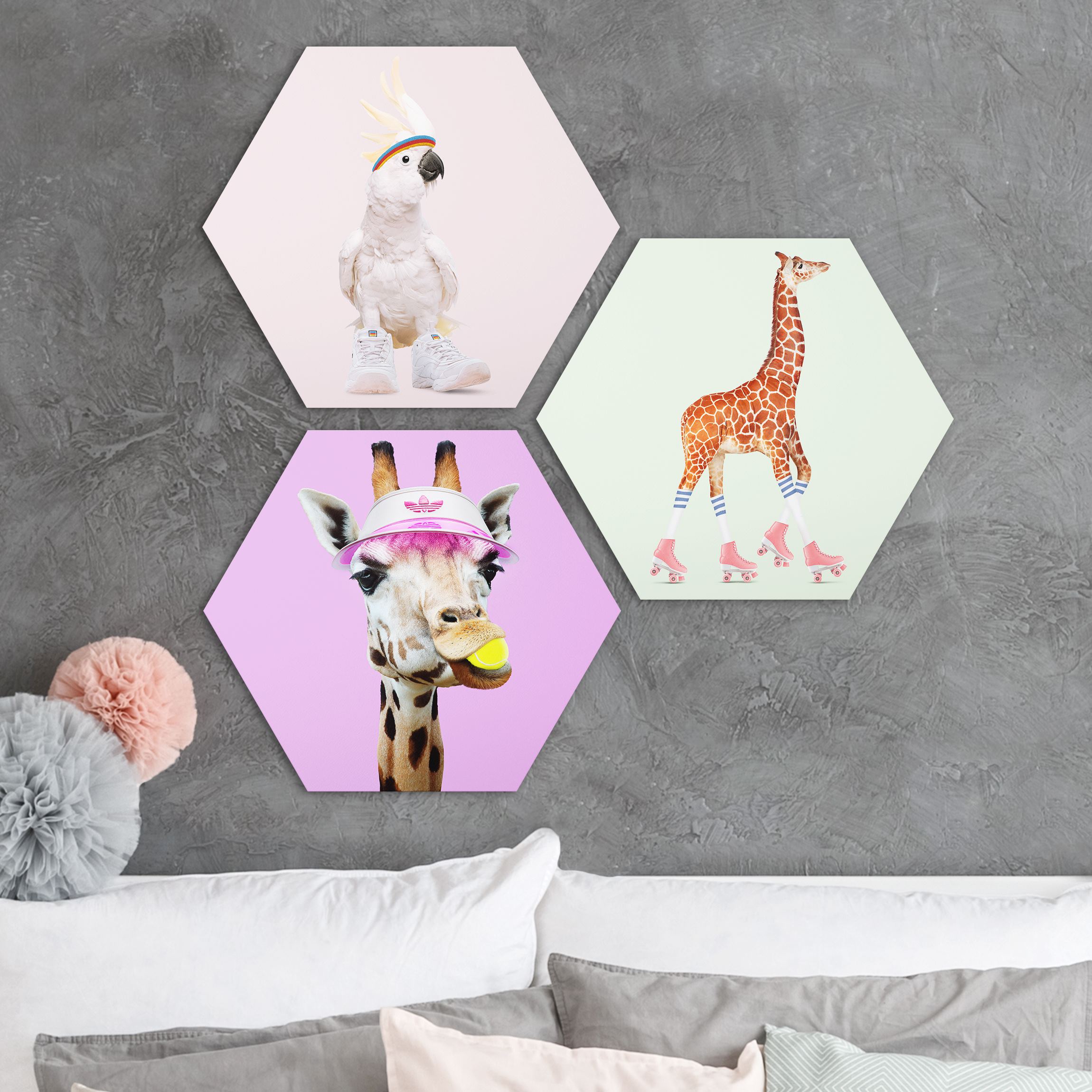 3-teiliges Hexagon-Forexbild Giraffen und Kakadu Sport Set I