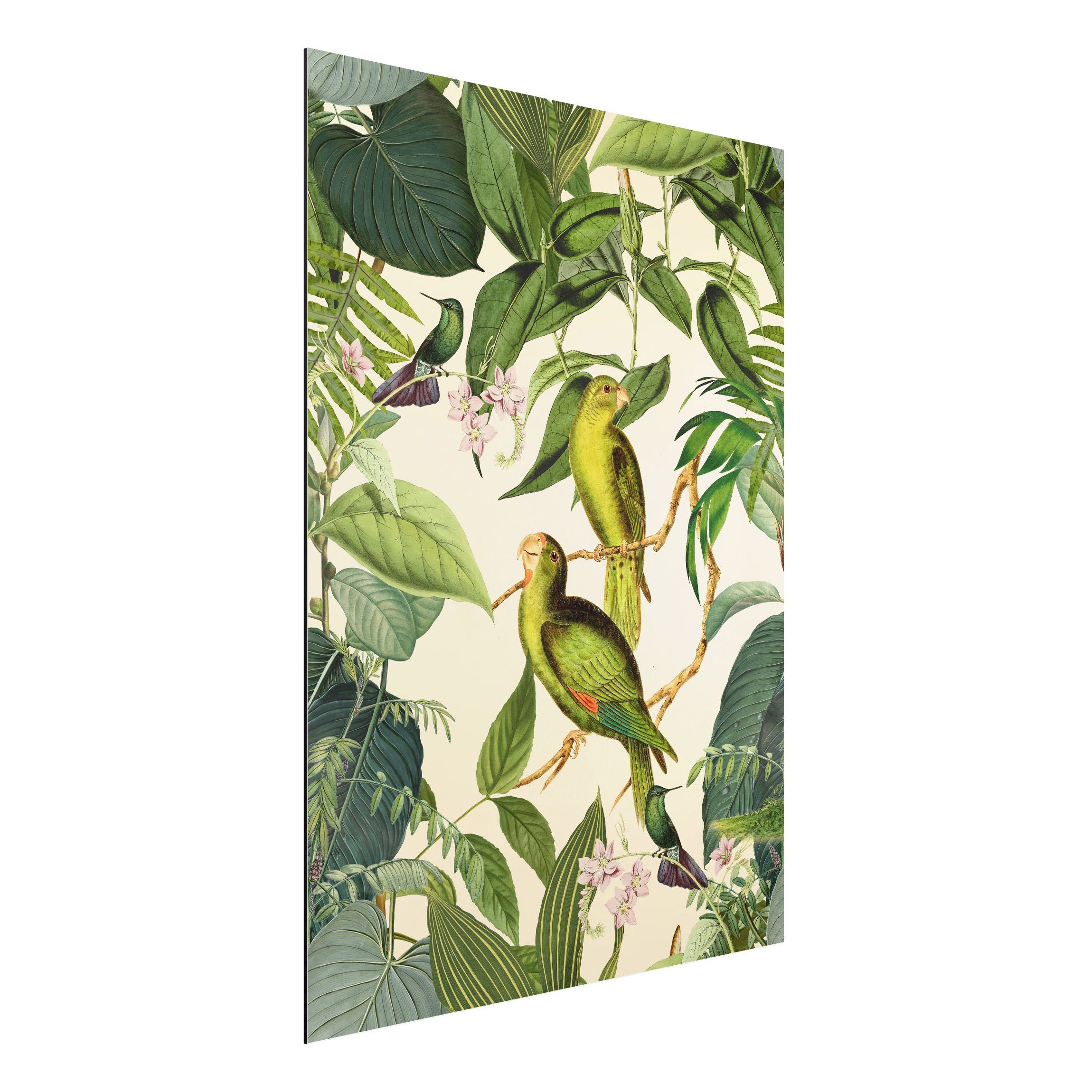 Alu-Dibond Outdoor Bild Vintage Collage - Papageien im Dschungel