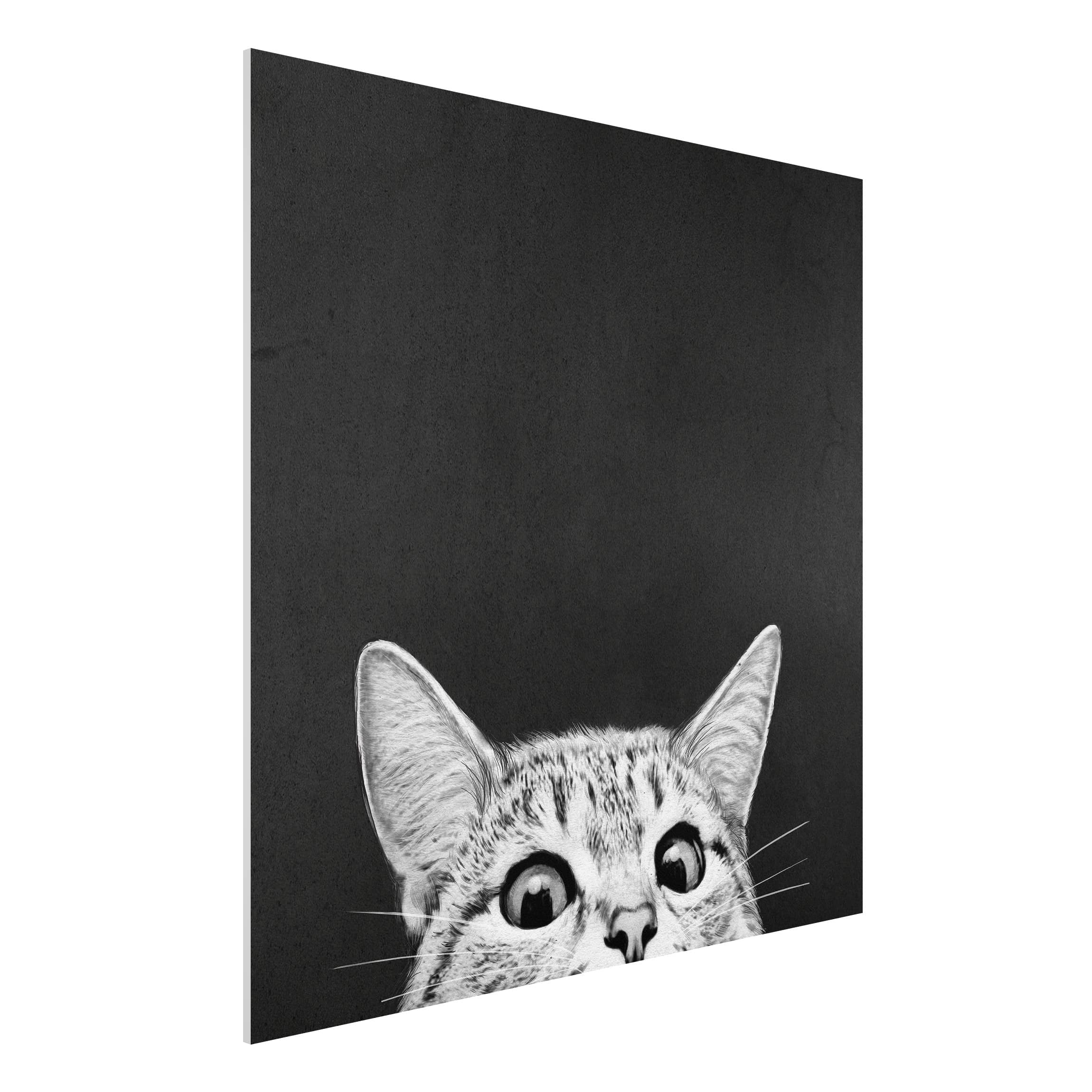 Forexbild - Quadrat Illustration Katze Schwarz Weiß Zeichnung
