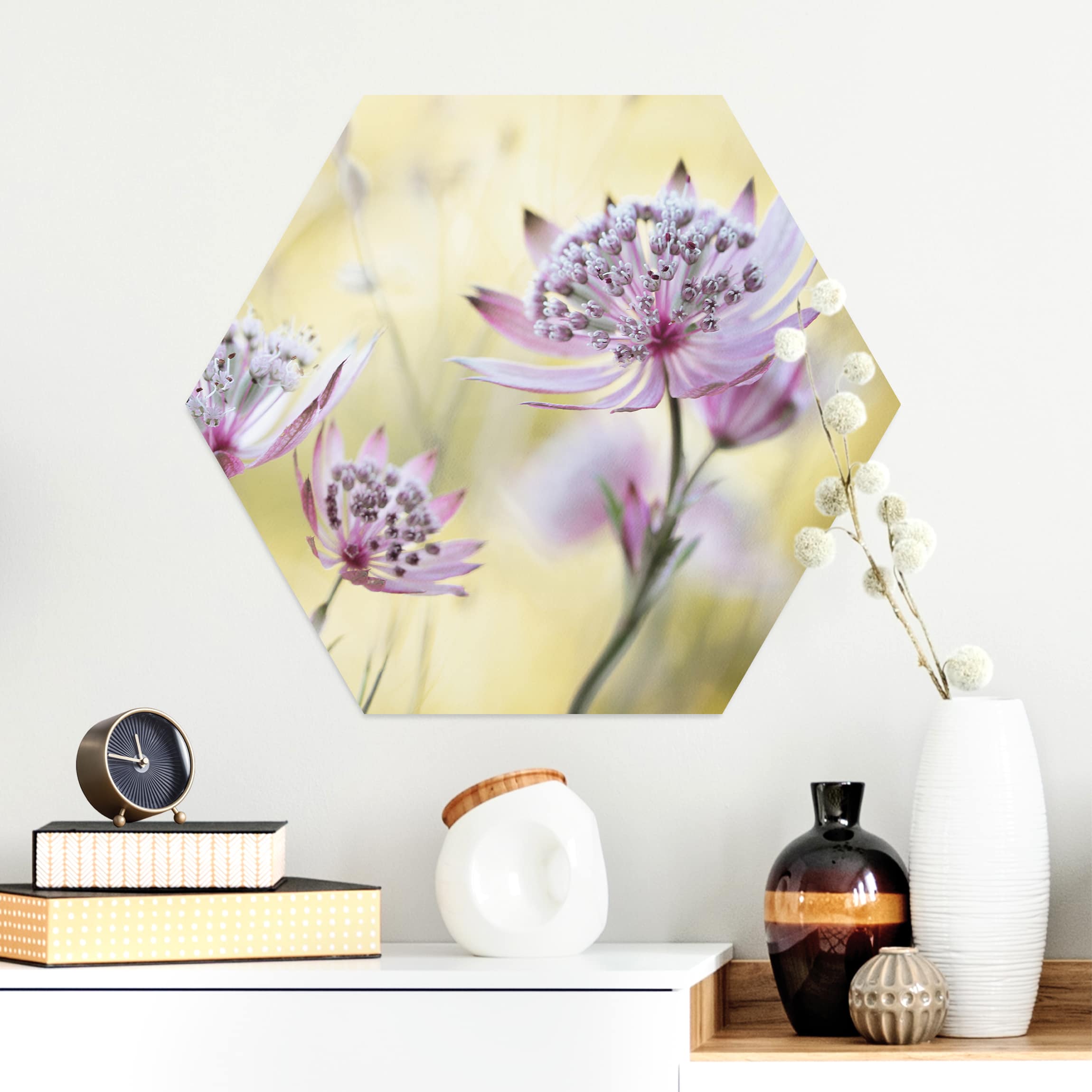 Hexagon-Alu-Dibond Bild Astrantia Major