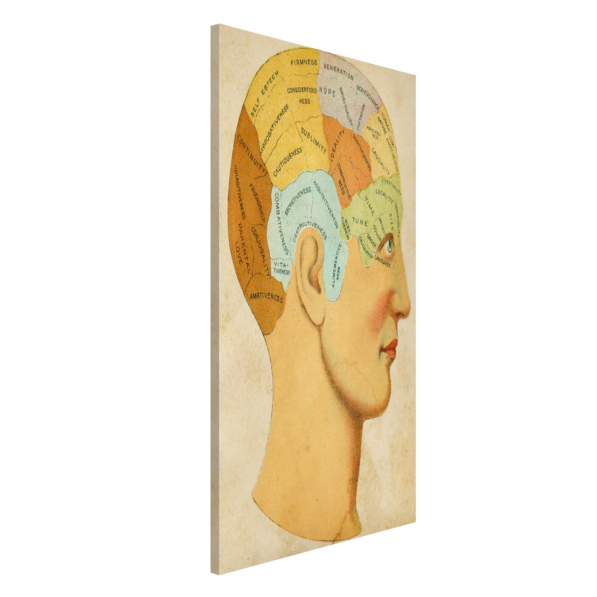 Magnettafel - Hochformat 3:4 Vintage Landkarte der Seele