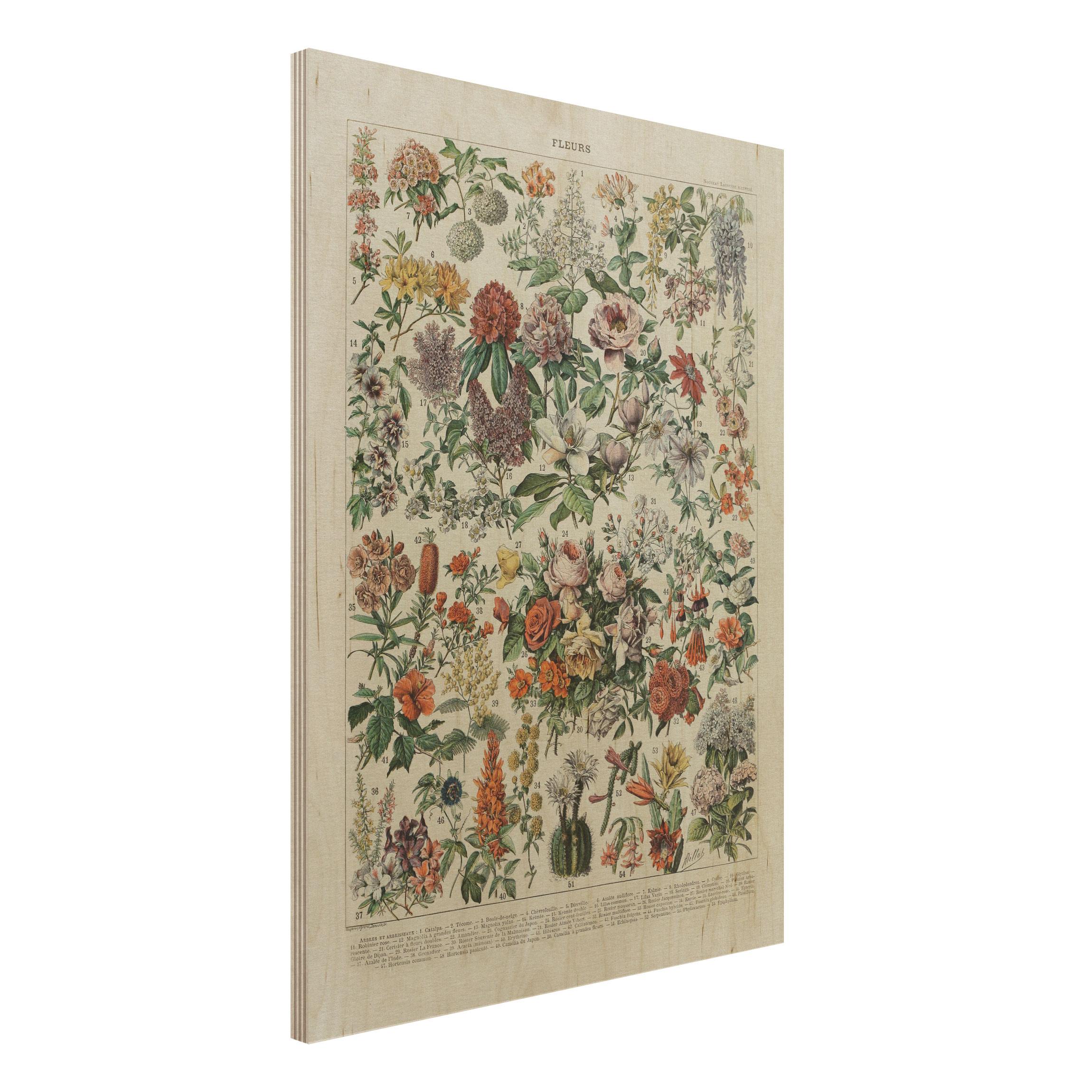 Holzbild - Hochformat 3:4 Vintage Lehrtafel Blumen II