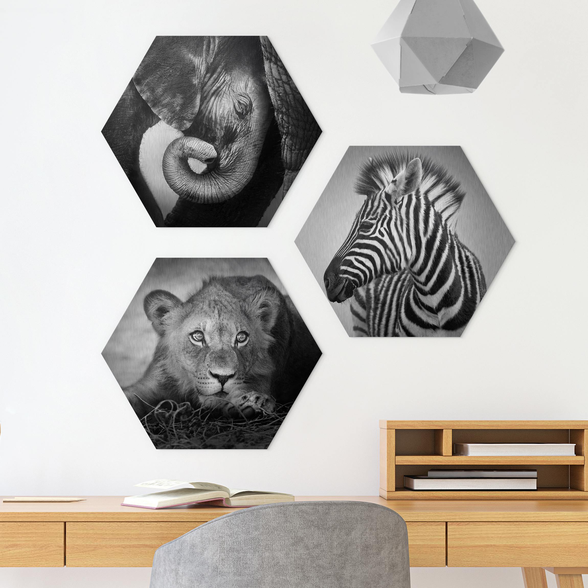3-teiliges Hexagon-Alu-Dibond Bild Babytiere