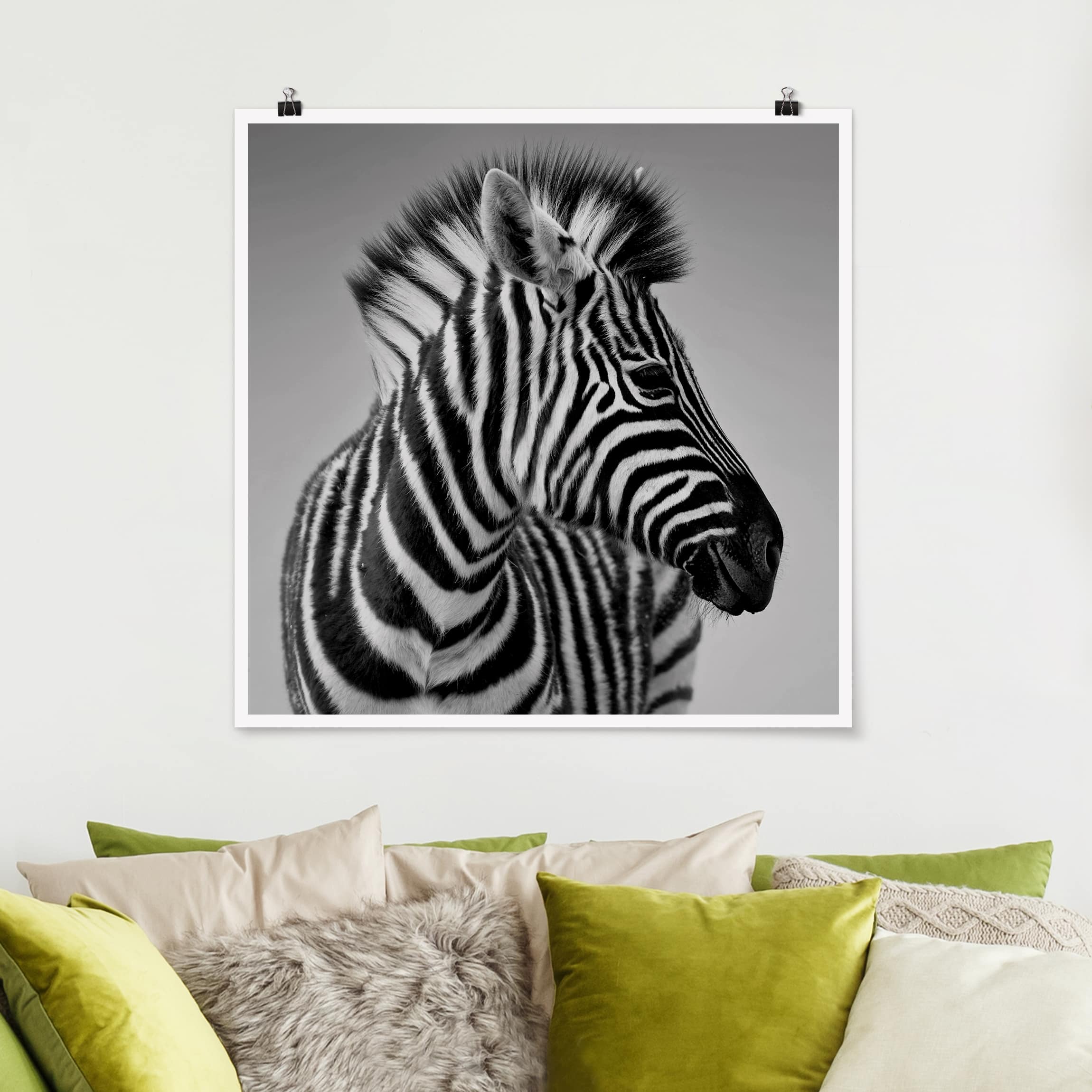 Poster - Quadrat Zebra Baby Portrait II