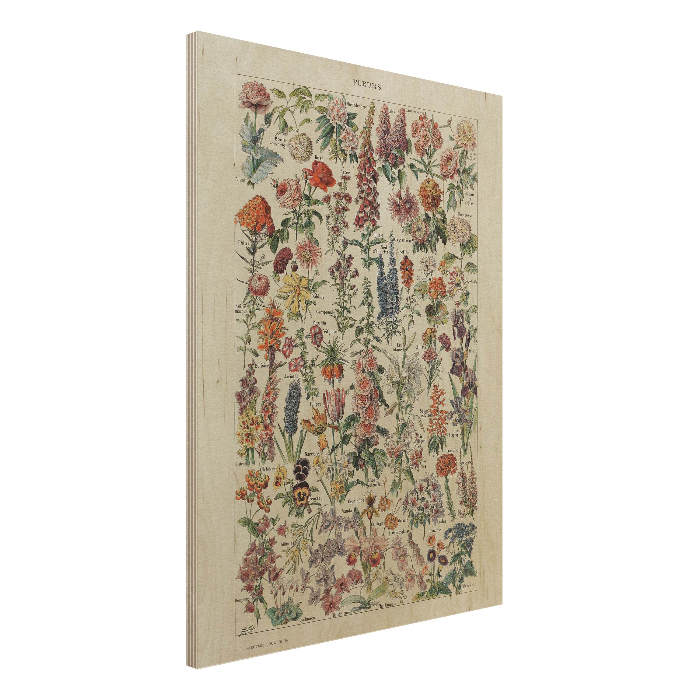 Holzbild - Hochformat 3:4 Vintage Lehrtafel Blumen V