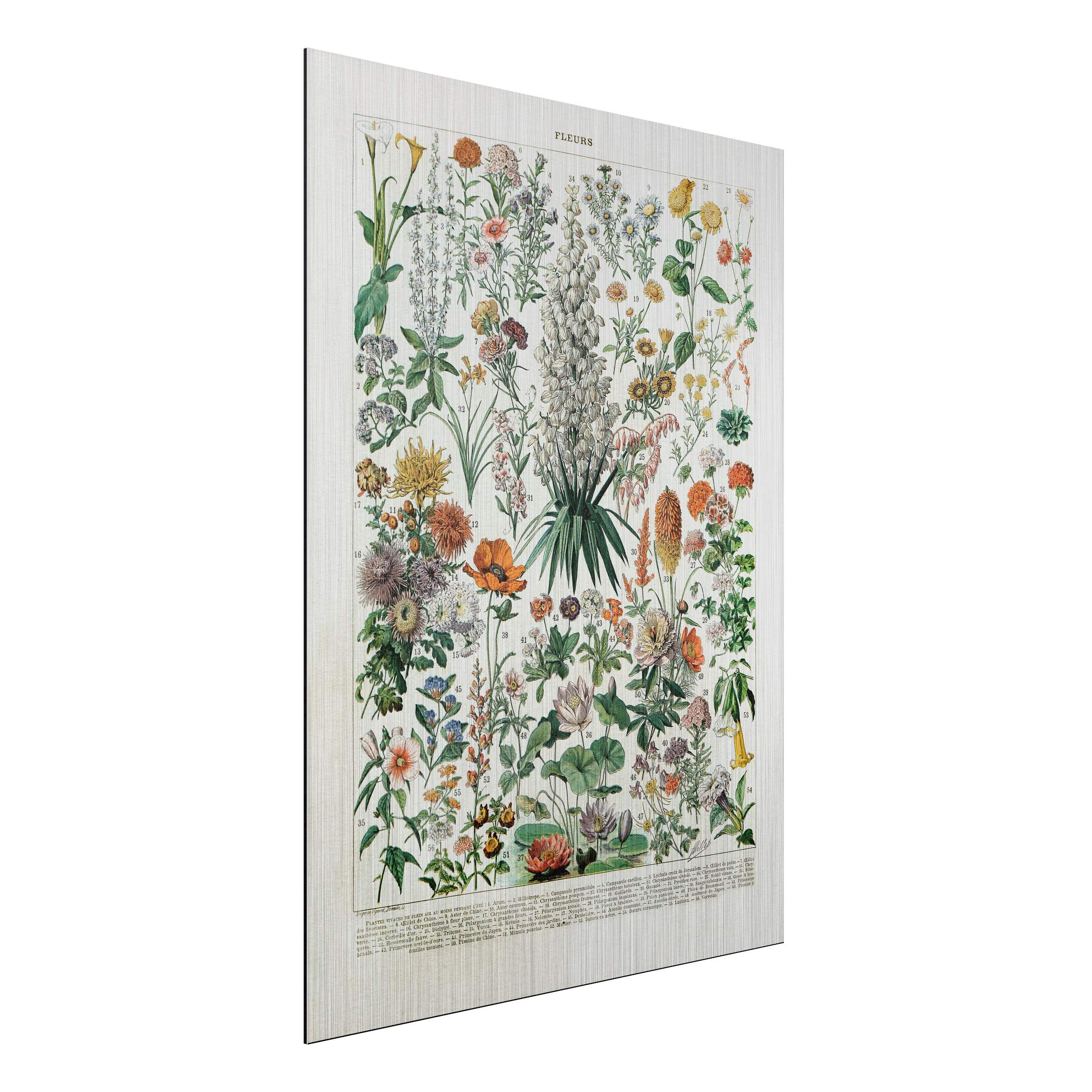 Alu-Dibond Outdoor Bild Vintage Lehrtafel Blumen I
