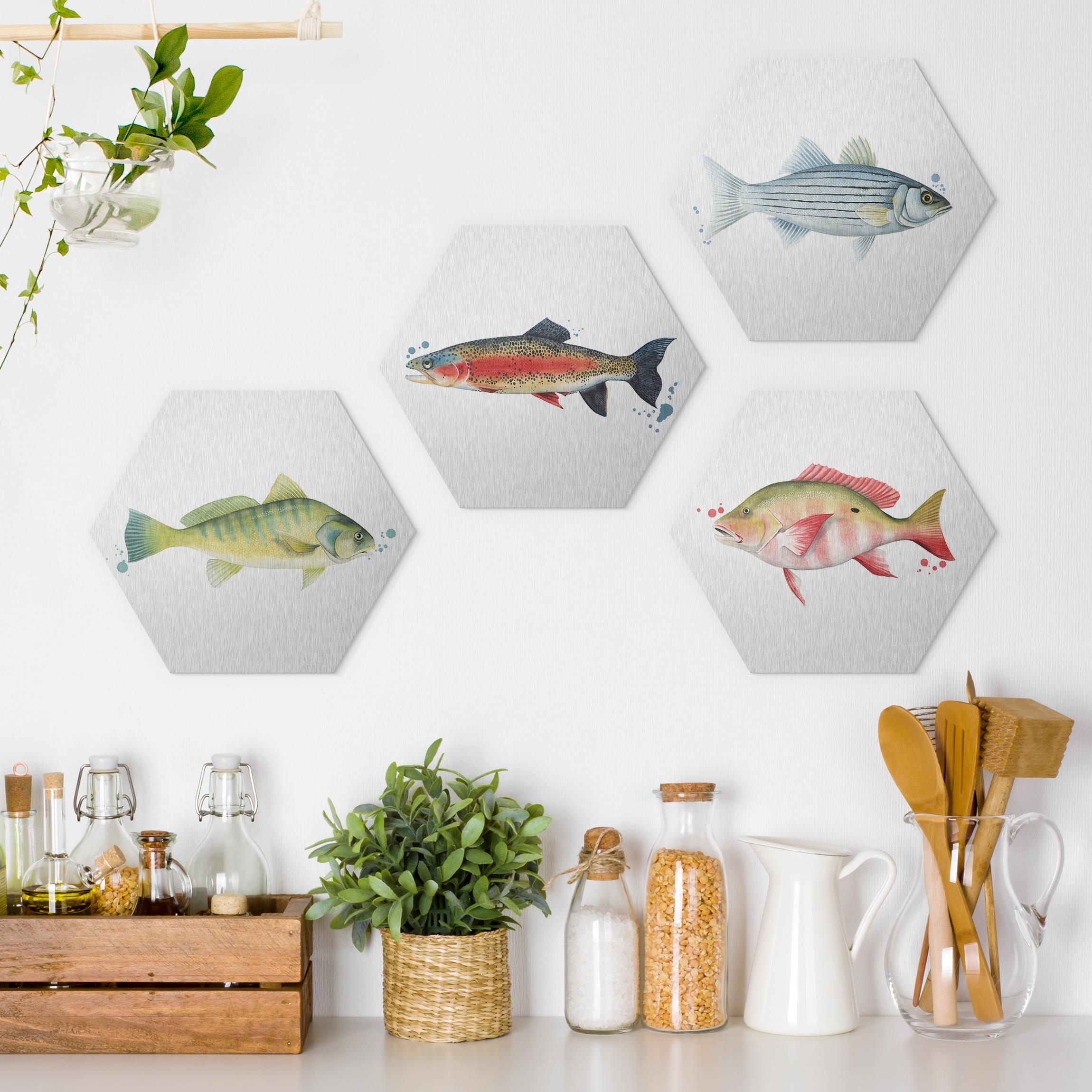 4-teiliges Hexagon-Alu-Dibond Bild Farbfang - Fische Set I