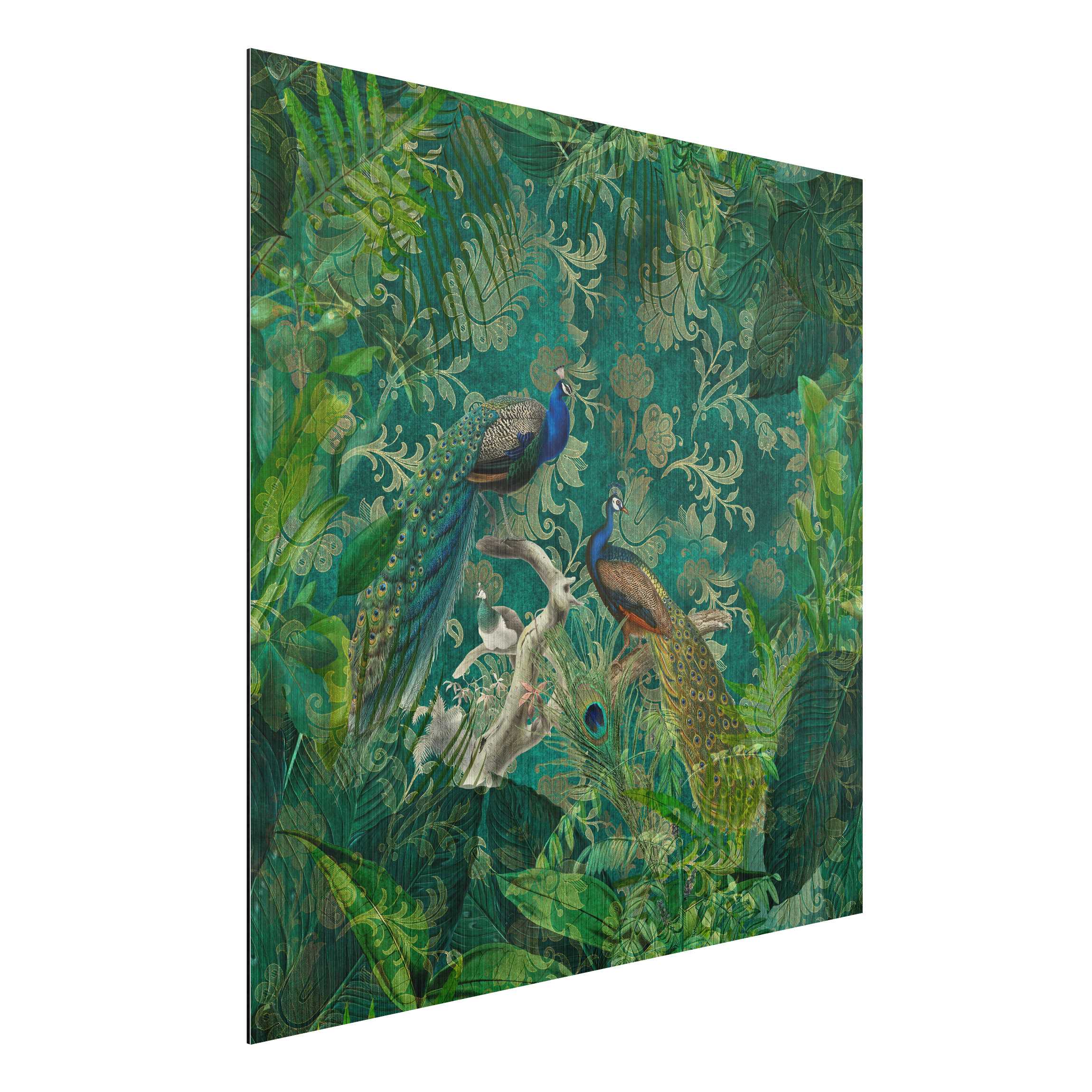 Alu-Dibond Bild Shabby Chic Collage - Edler Pfau II