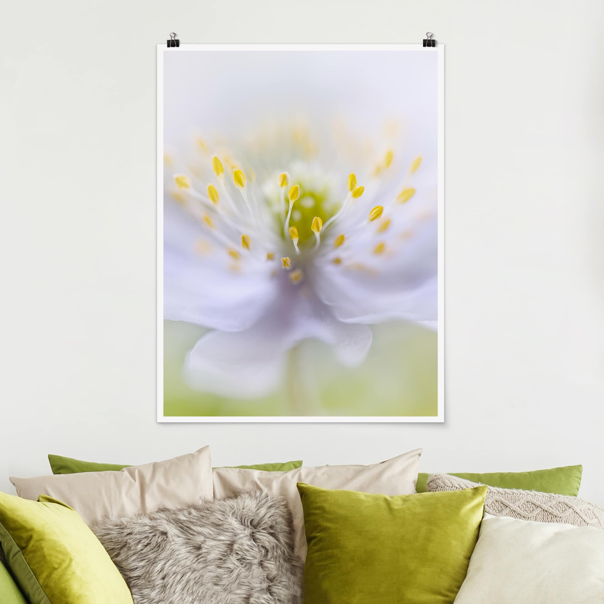 Poster - Hochformat Anemonen Schönheit