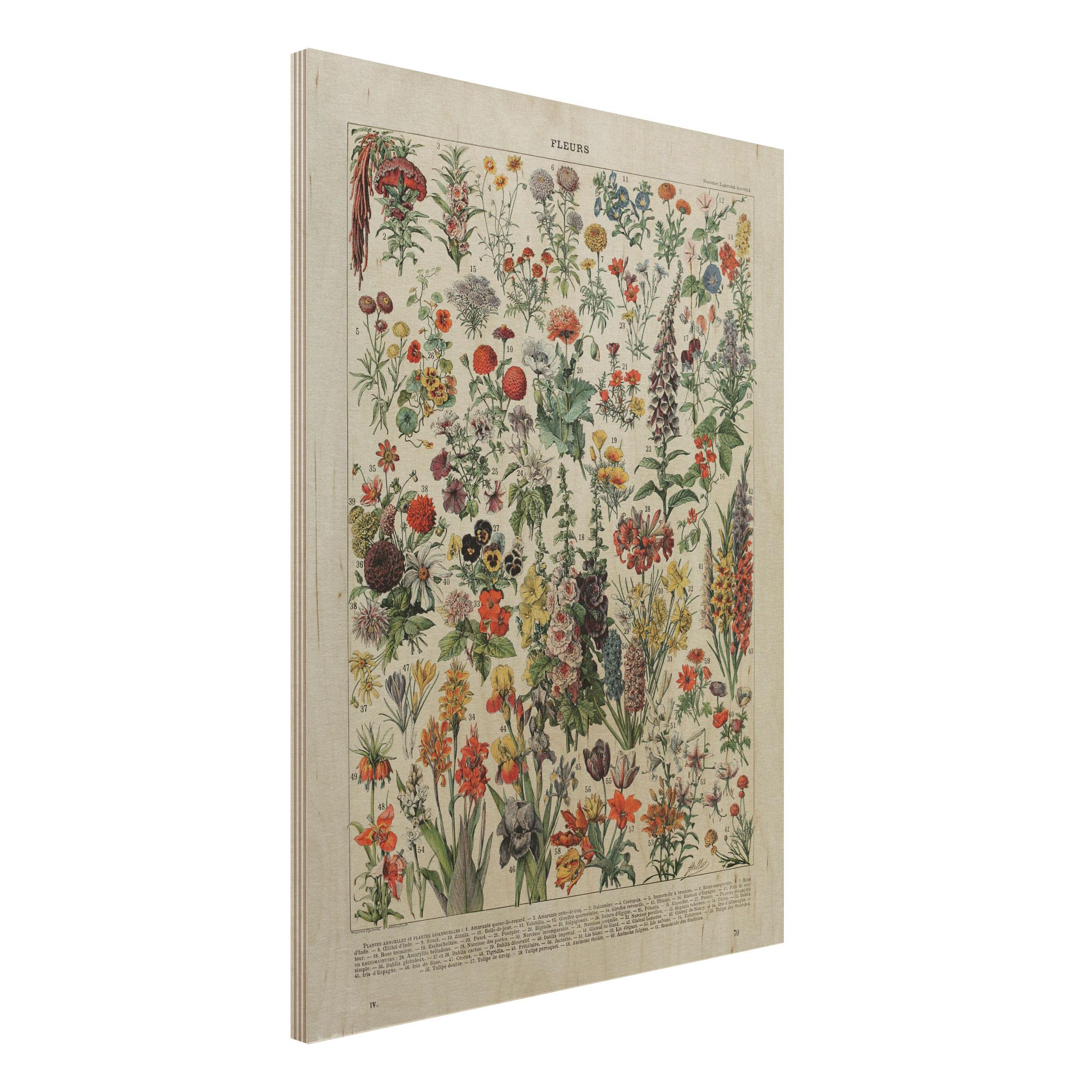 Holzbild - Hochformat 3:4 Vintage Lehrtafel Blumen IV