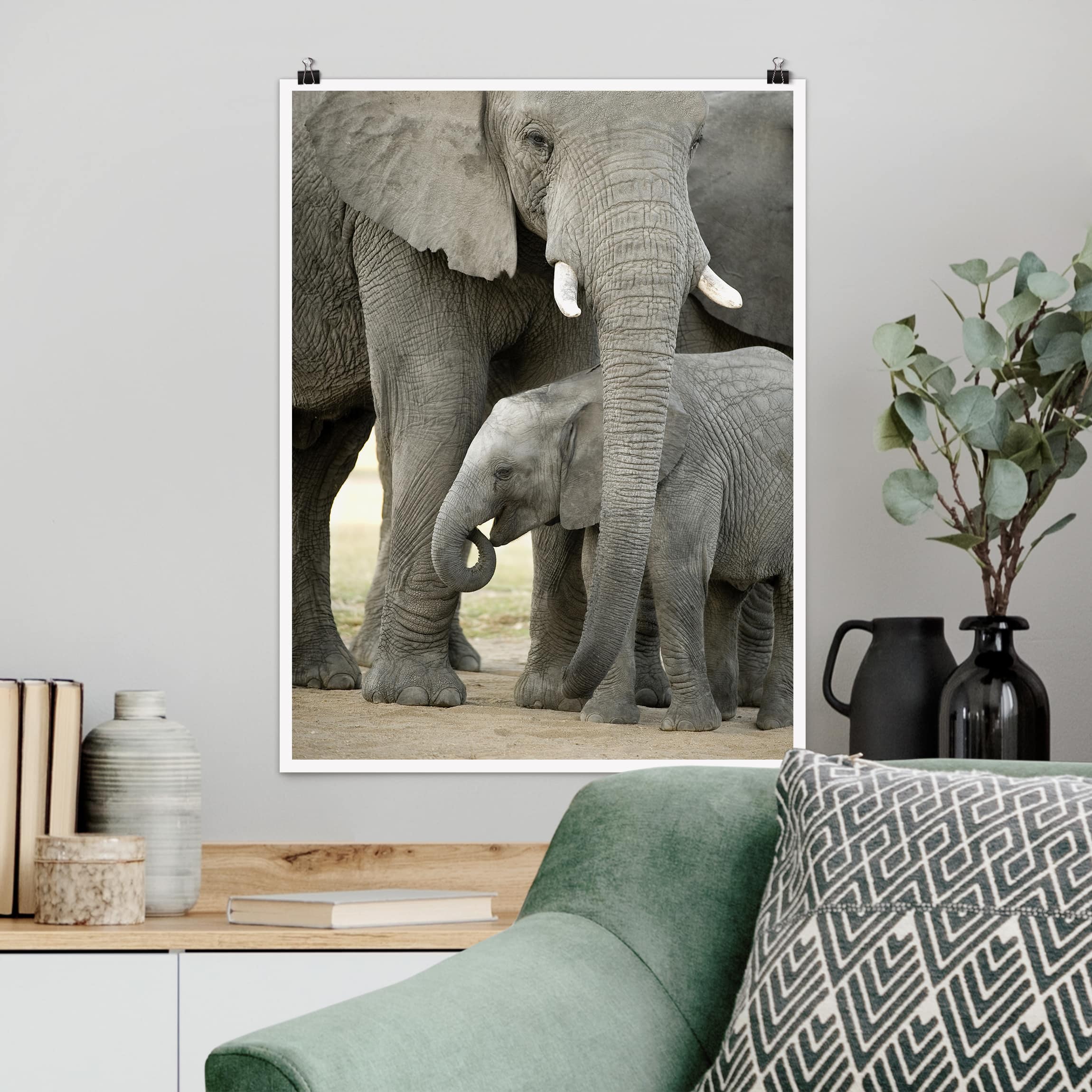 Poster Tiere Elefantenliebe