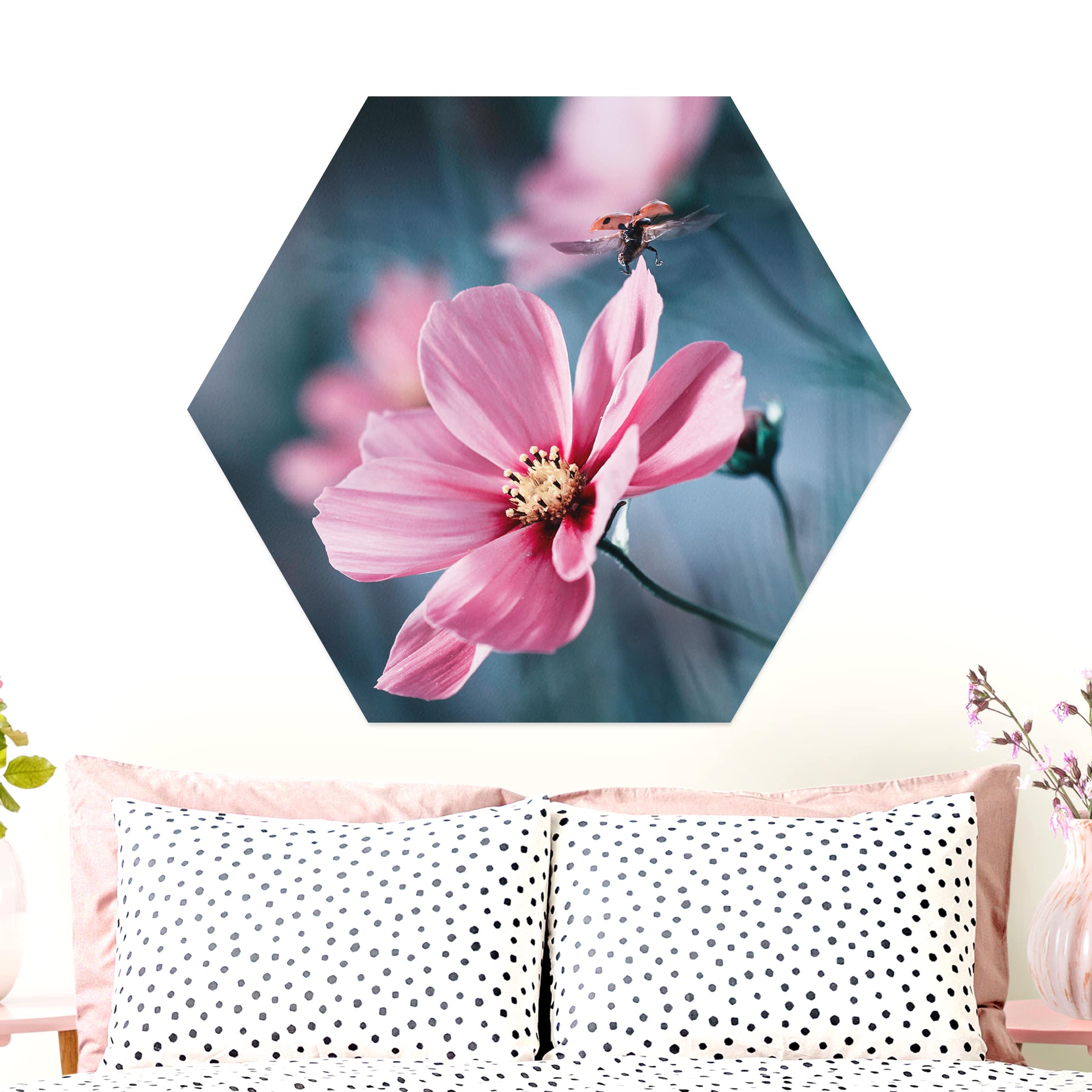 Hexagon-Alu-Dibond Bild Marienkäfer beim Start