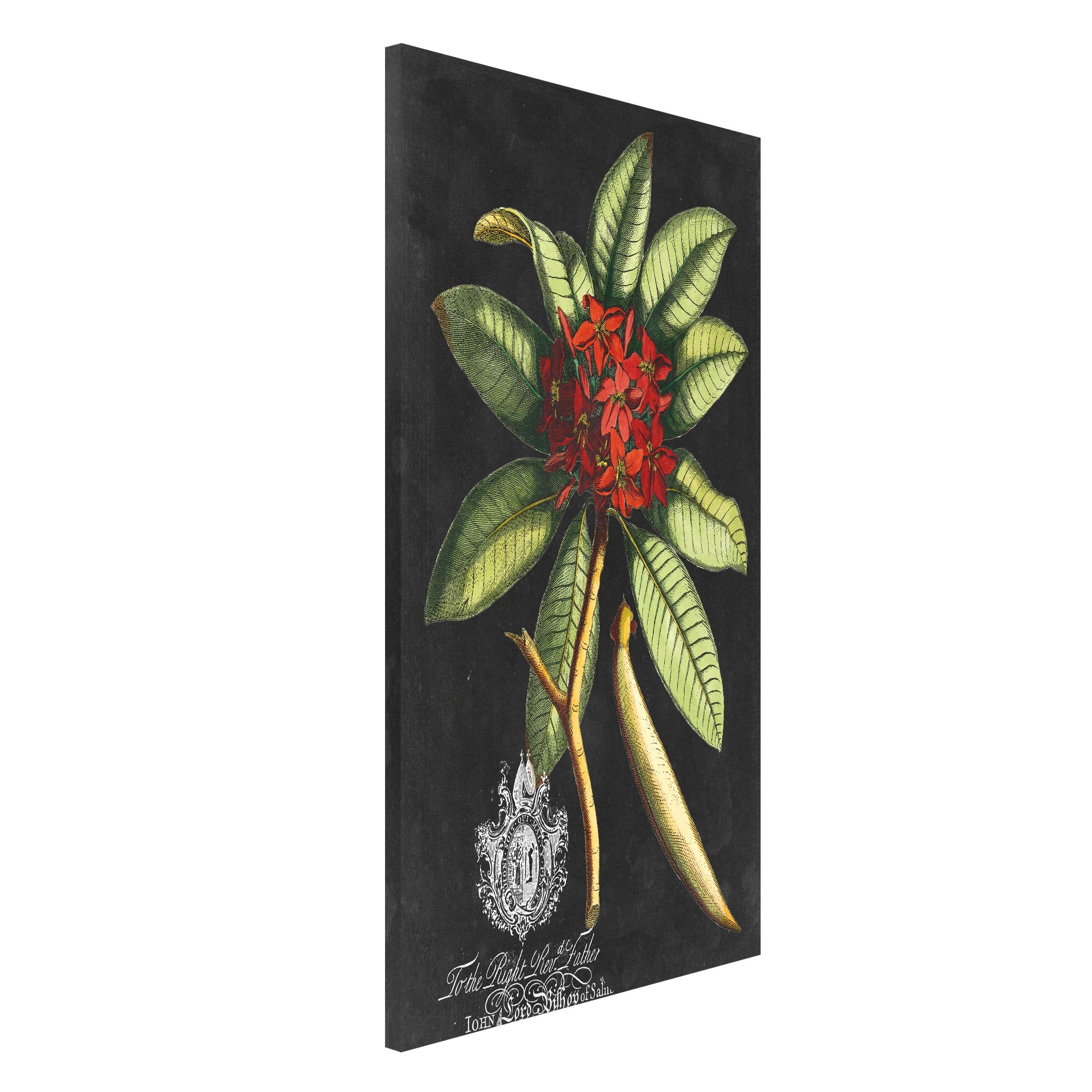 Magnettafel - Hochformat 3:4 Vintage Royales Blattwerk auf Schwarz III