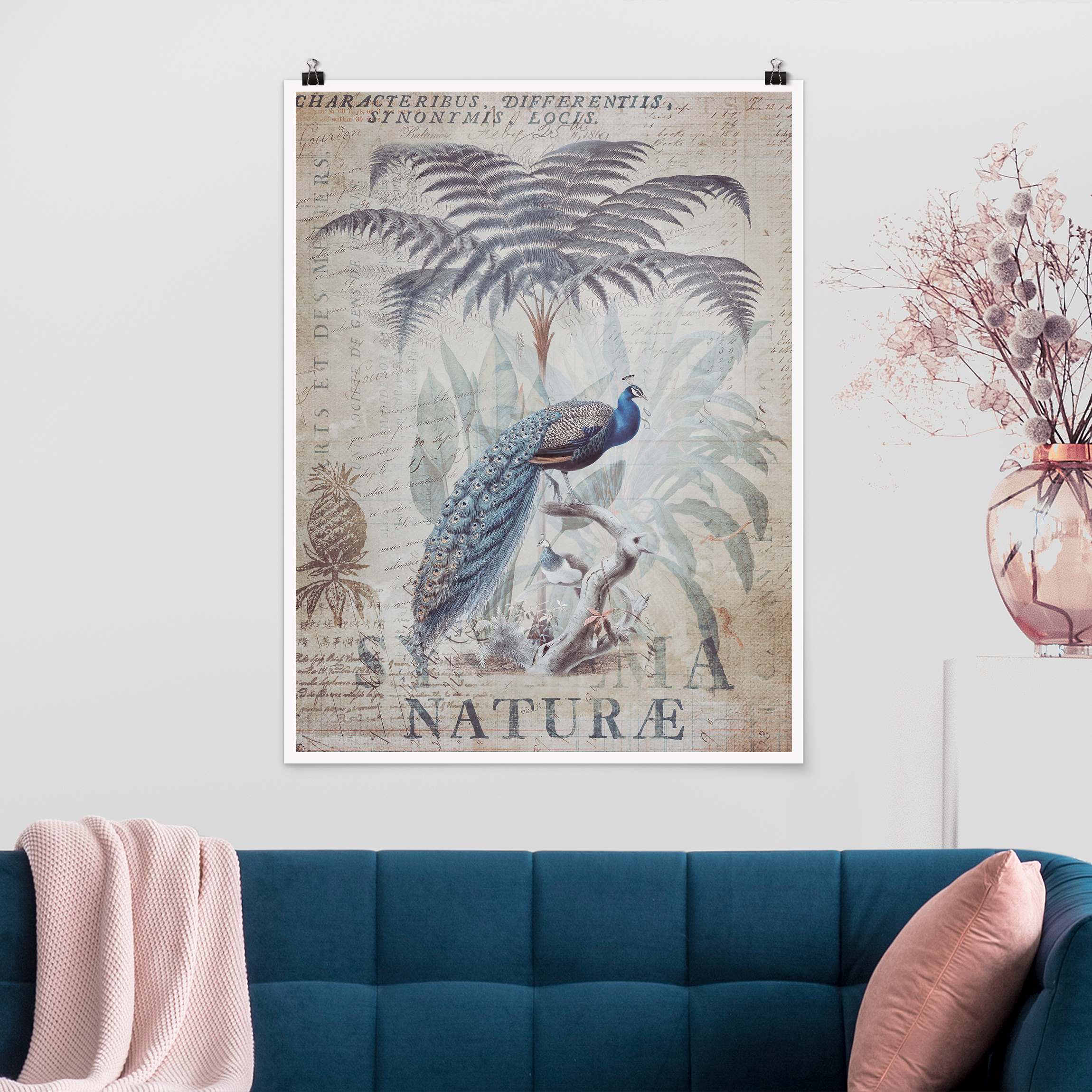 Poster Shabby Chic Collage - Pfau