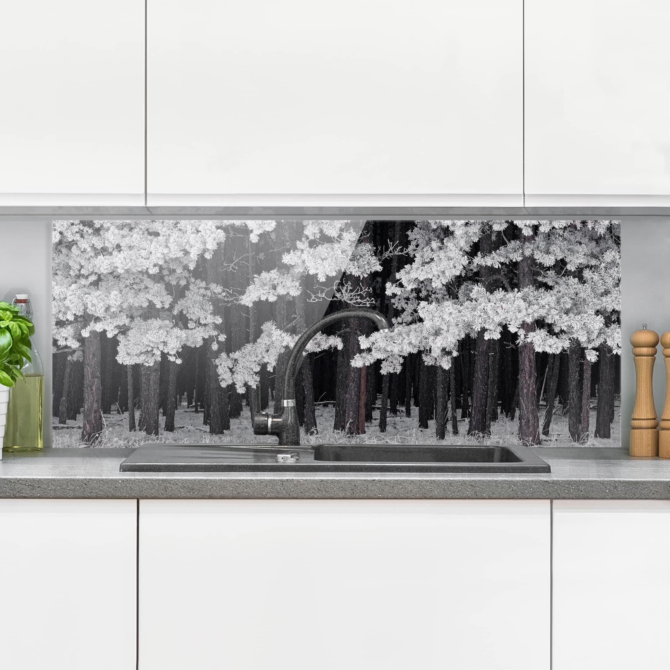 Glas Spritzschutz Wald mit Raureif in Österreich