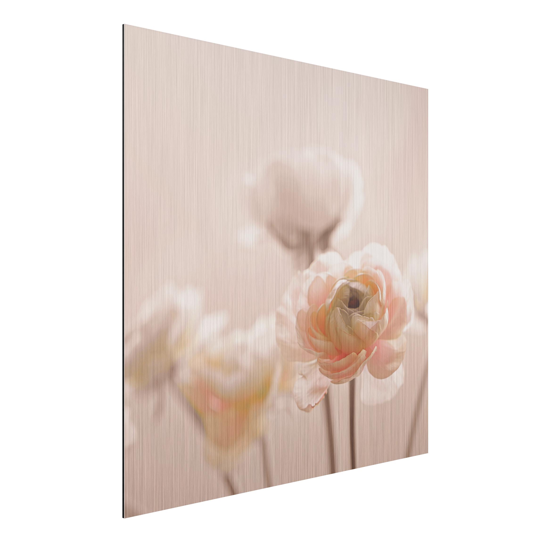 Alu-Dibond Outdoor Bild Zarter Strauch an Rosa Blüten