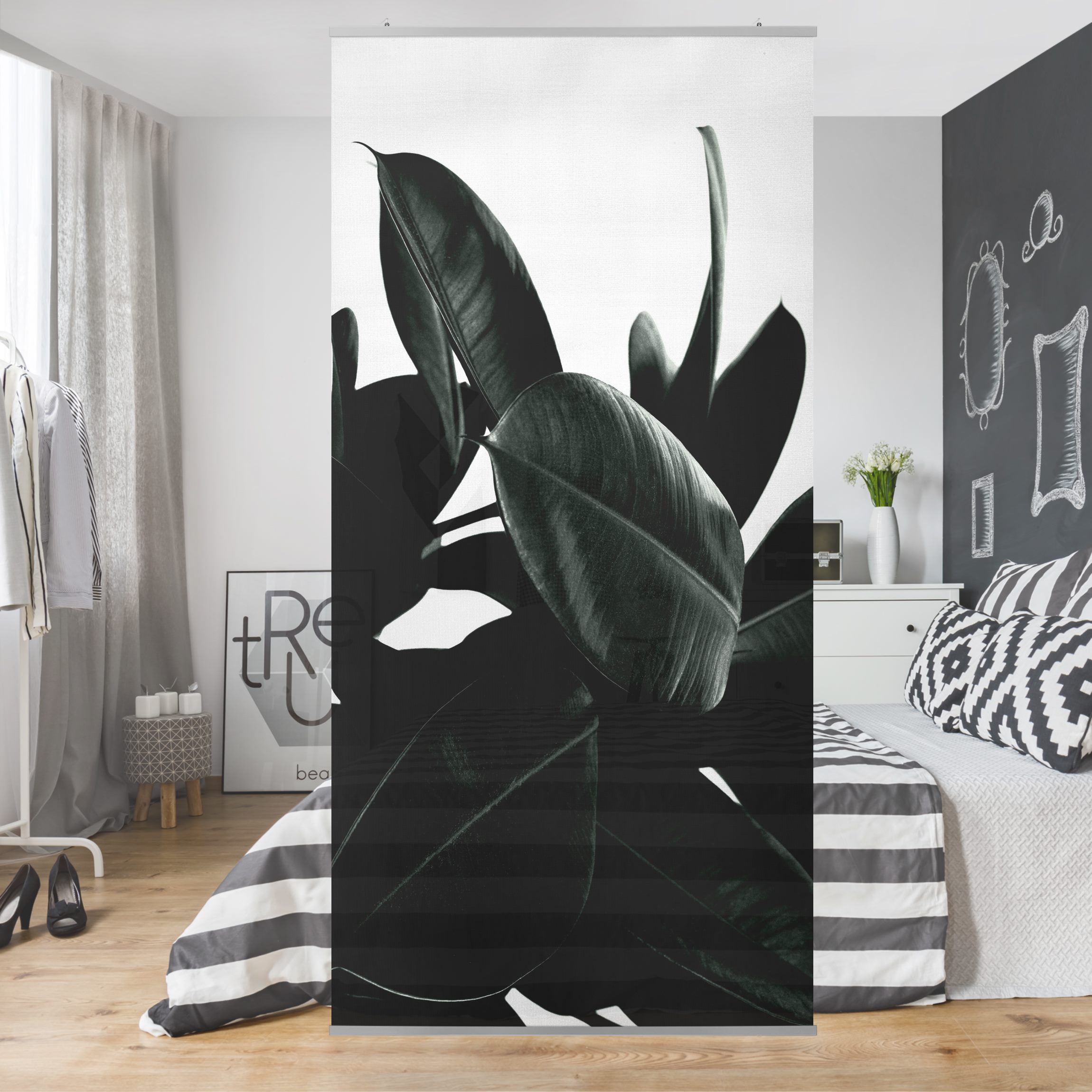 Raumteiler Gummibaum Blätter Dunkelgrün