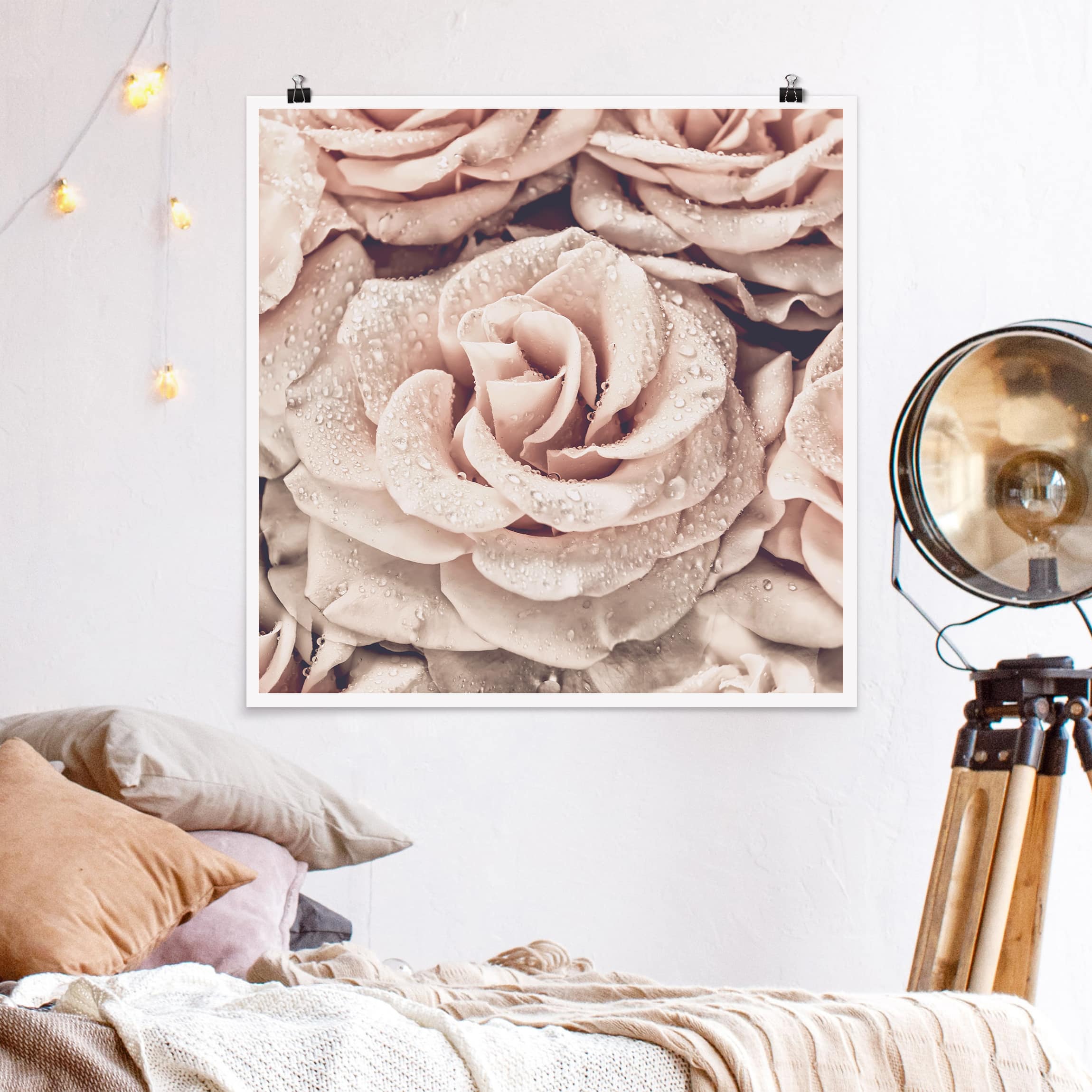 Poster - Quadrat Rosen Sepia mit Wassertropfen