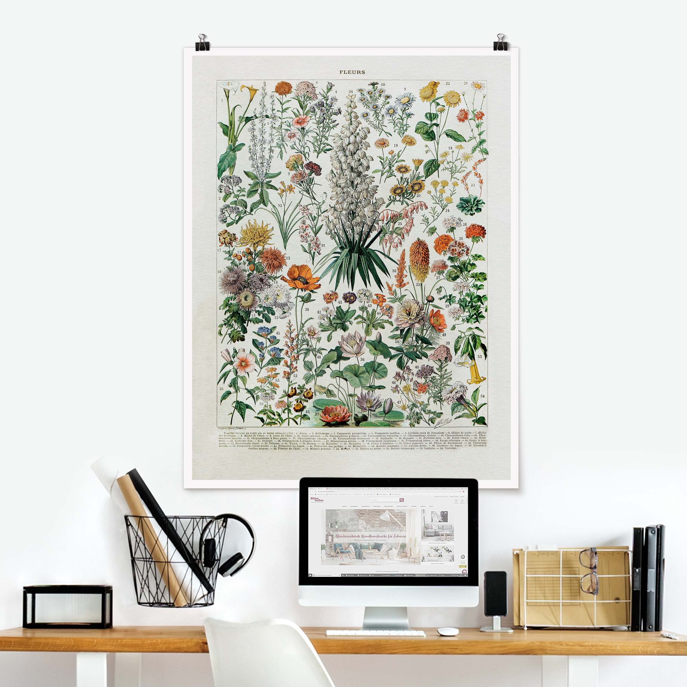 Poster Vintage Lehrtafel Blumen I