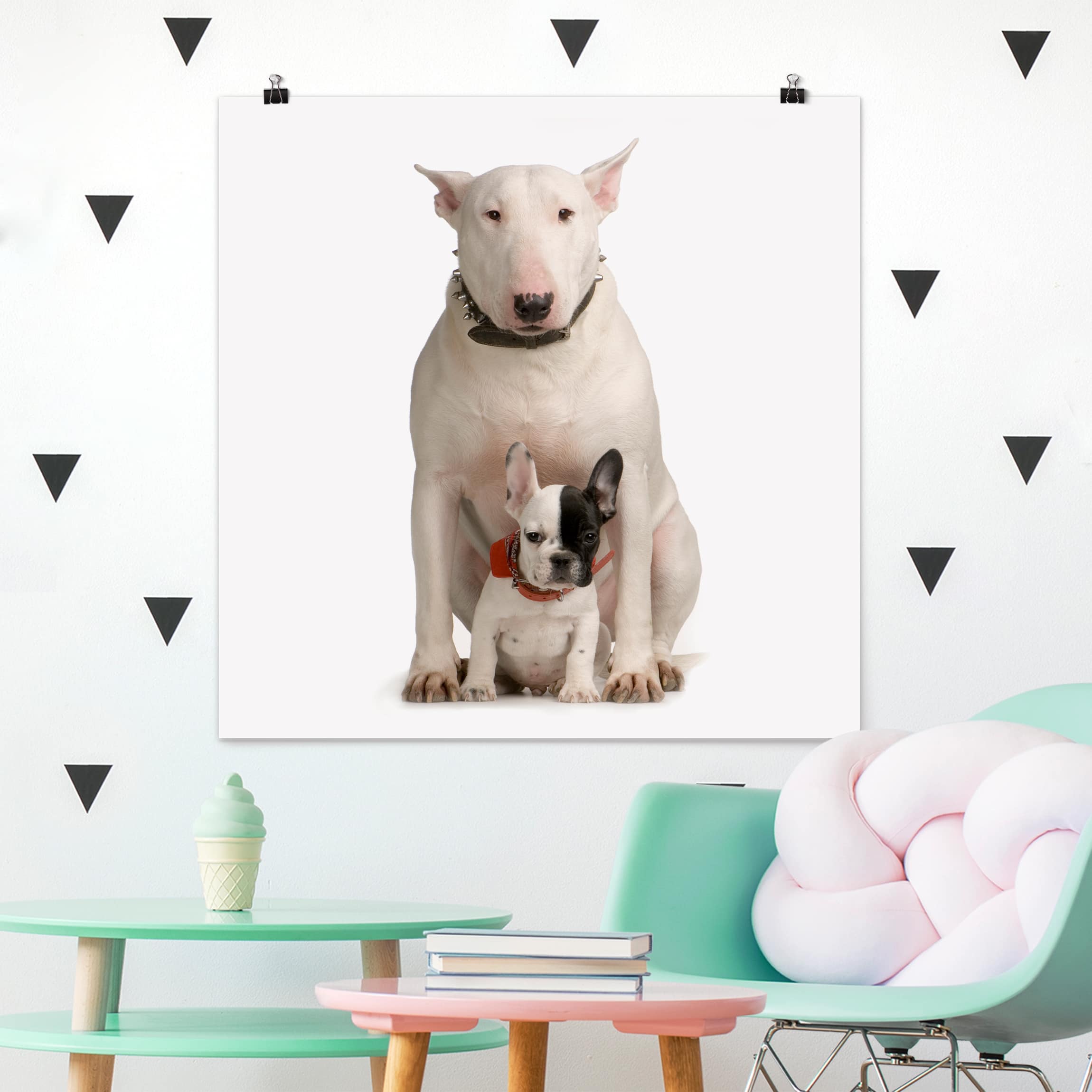 Poster Bull Terrier and friend