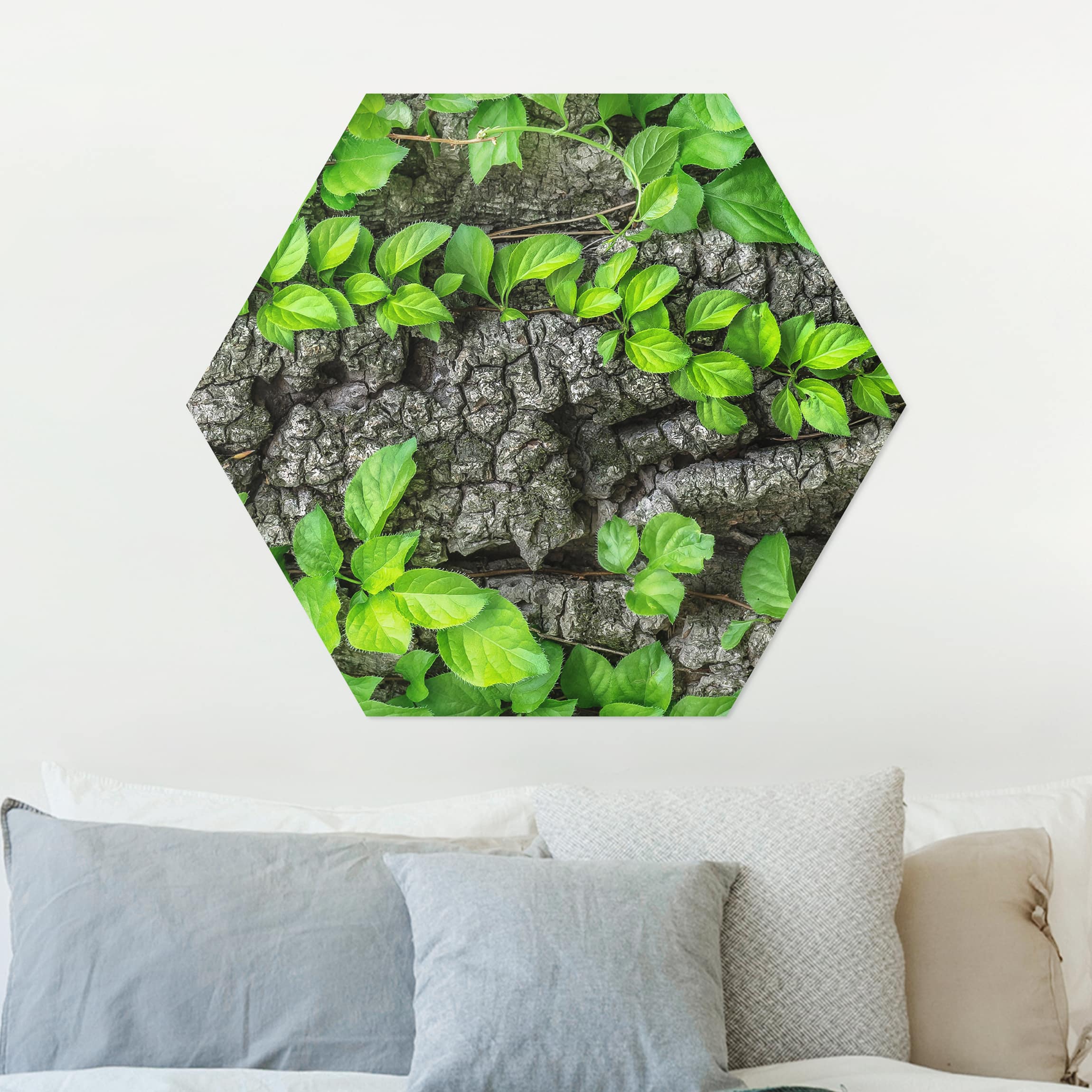 Hexagon-Alu-Dibond Bild Efeuranken Baumrinde