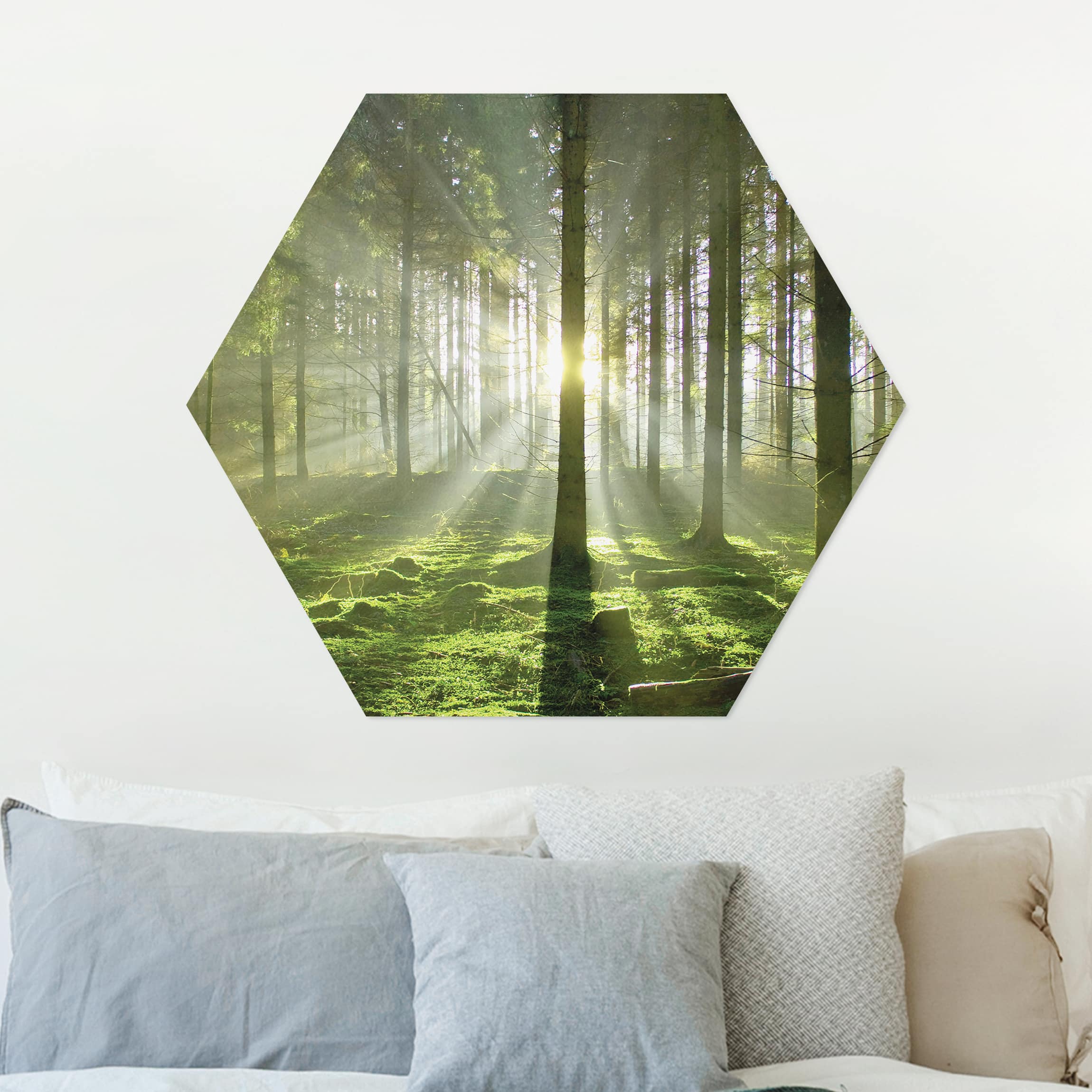 Hexagon-Alu-Dibond Bild Spring Fairytale