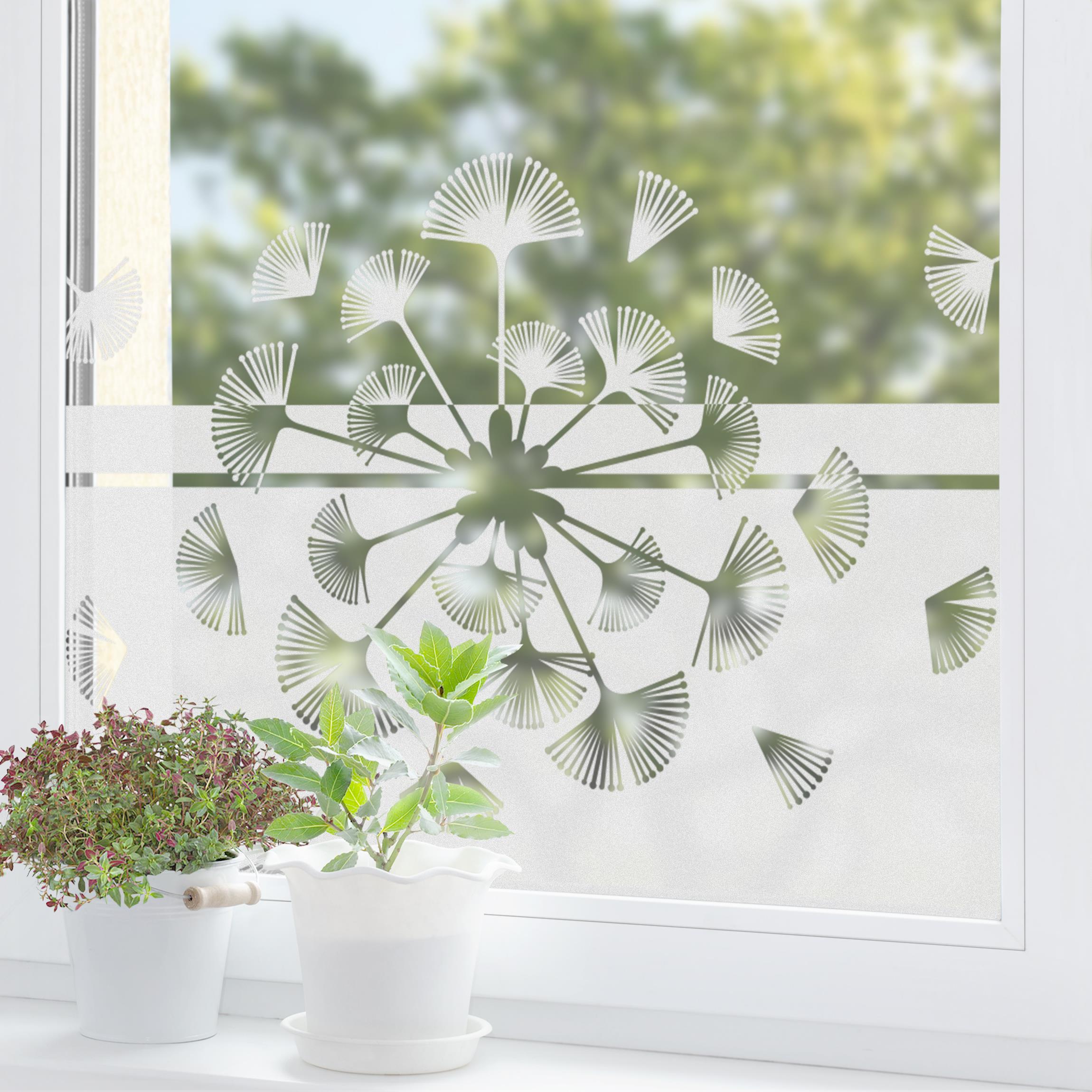 Fensterfolie Sichtschutz Moderne Pusteblume Bordüre