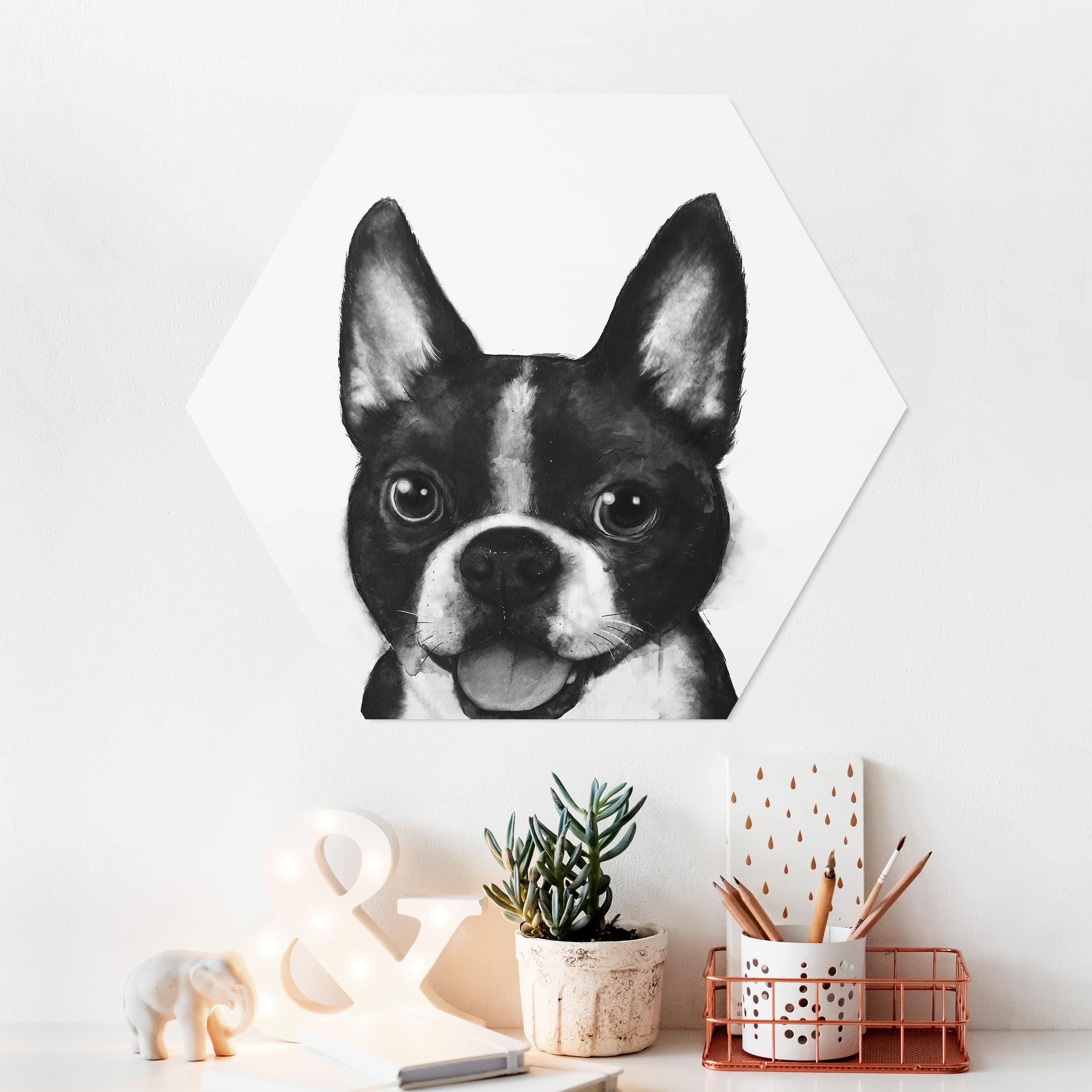 Hexagon-Forexbild Illustration Hund Boston Schwarz Weiß Malerei