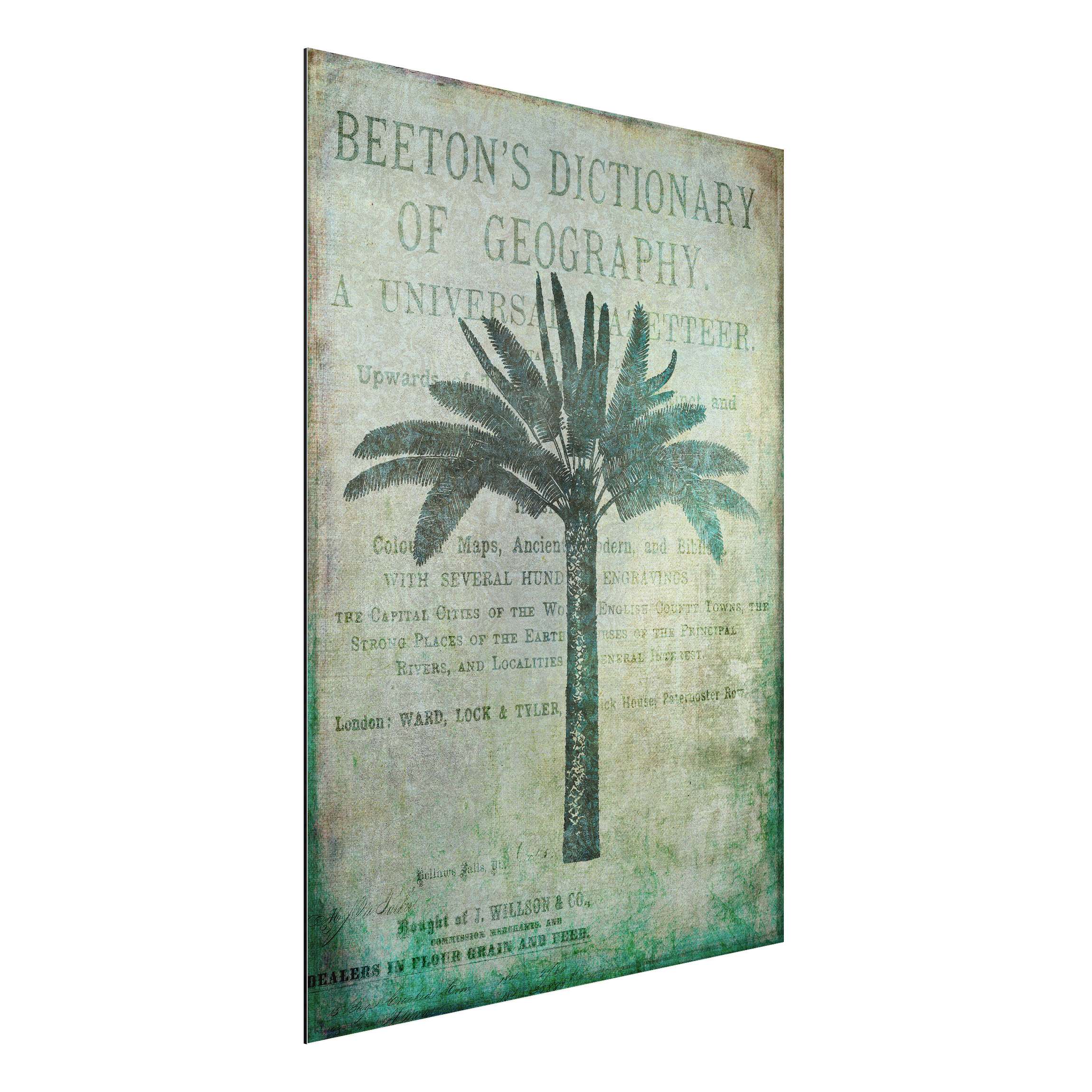 Alu-Dibond Outdoor Bild Vintage Collage - Antike Palme
