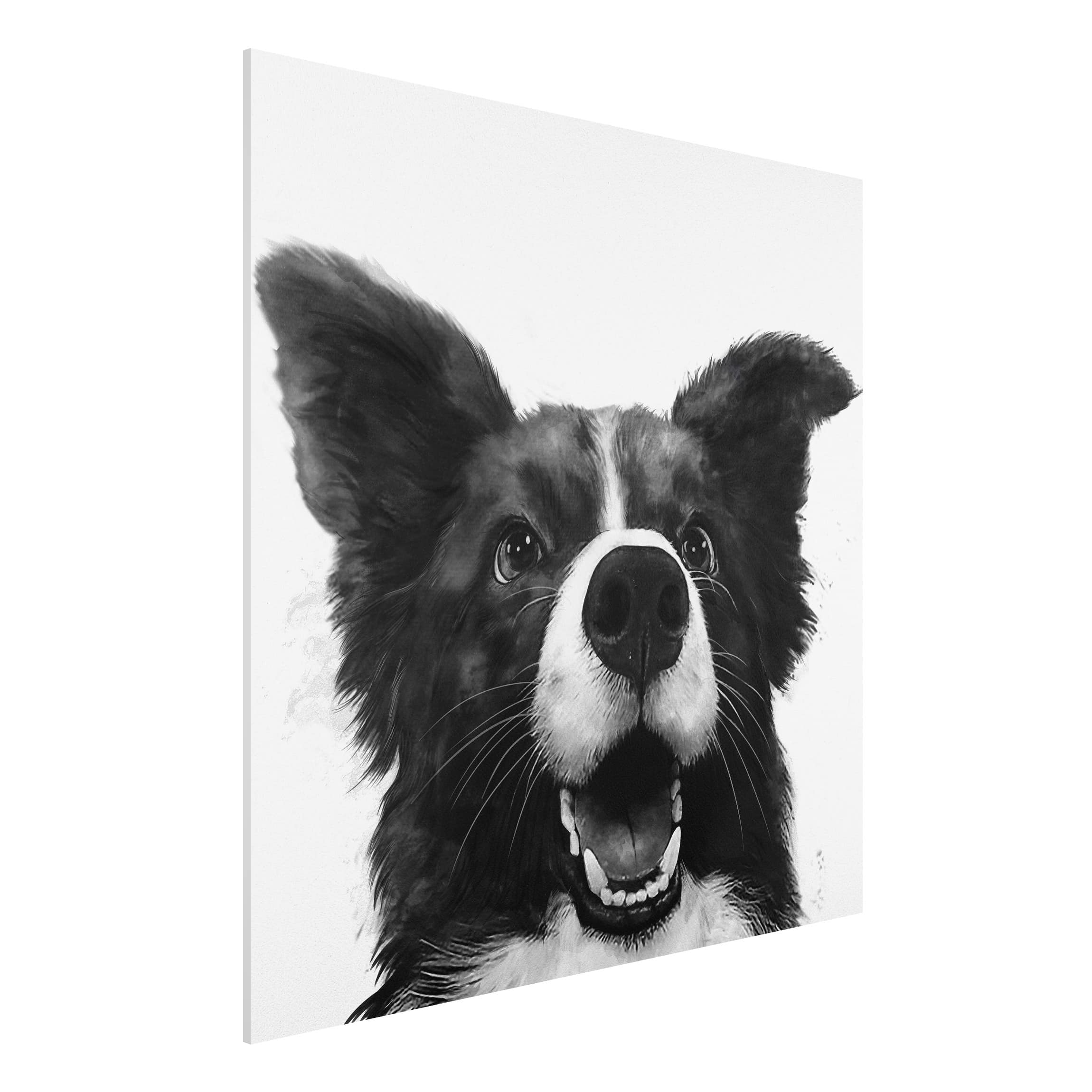 Forexbild Illustration Hund Border Collie Schwarz Weiß Malerei